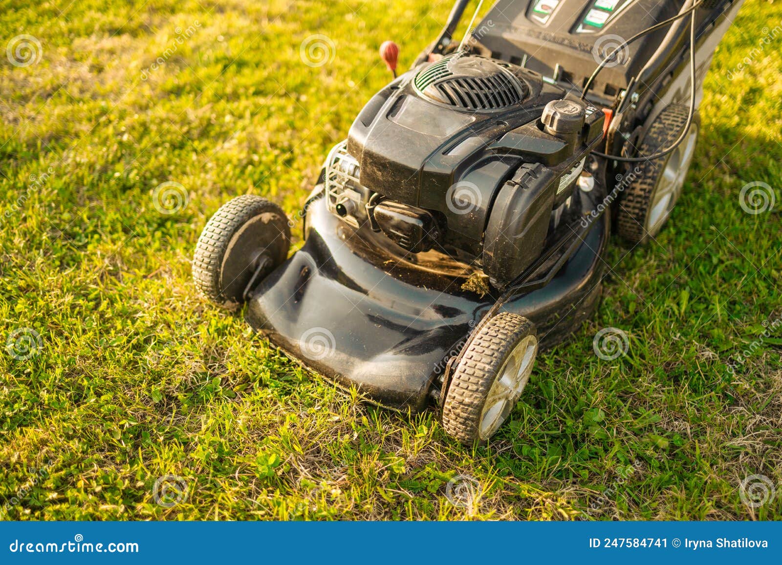 Lawn Mower Cutting Green Grass Stock Image Image of engine, field