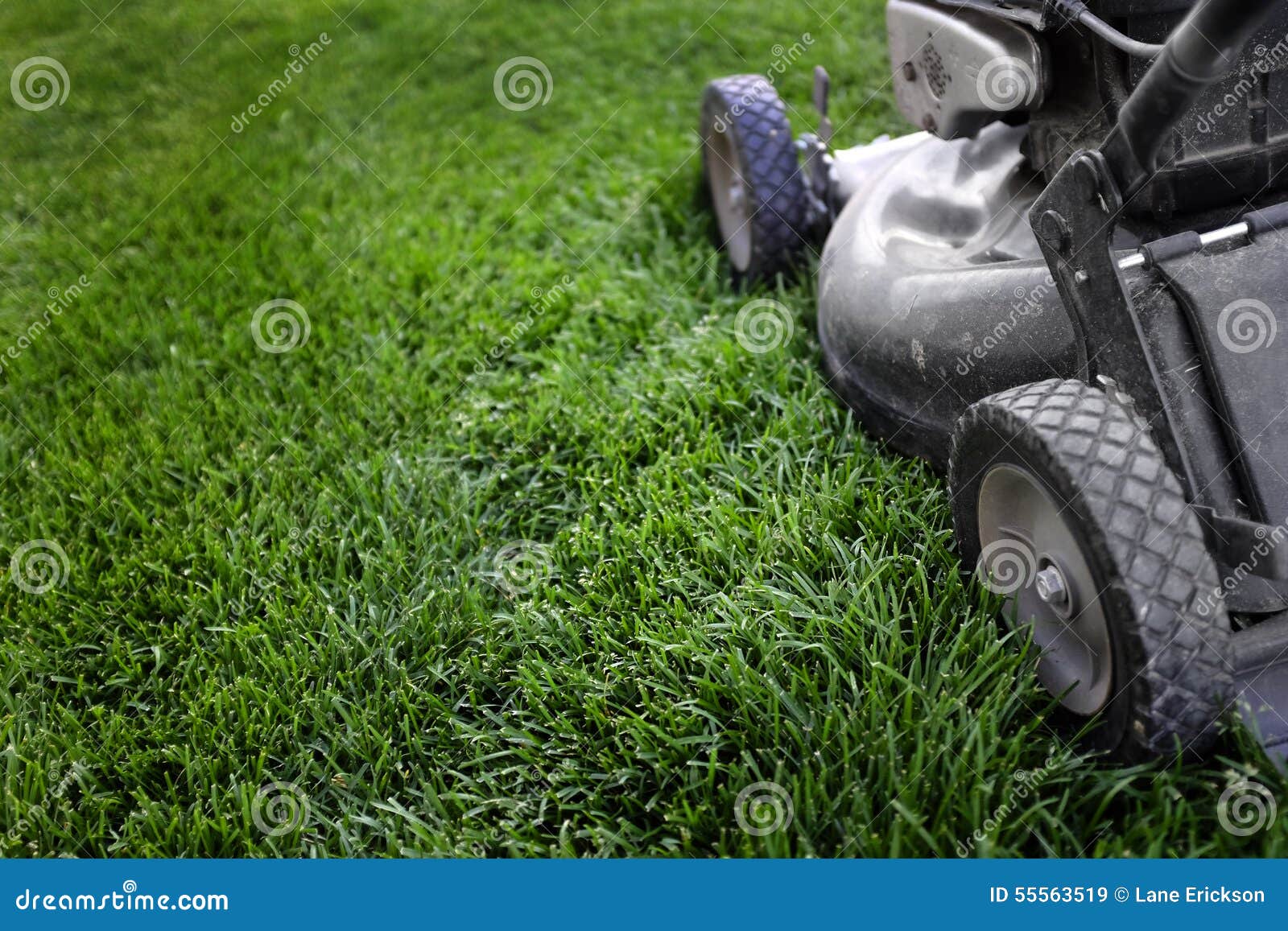 lawn mower on grass preparing to mow