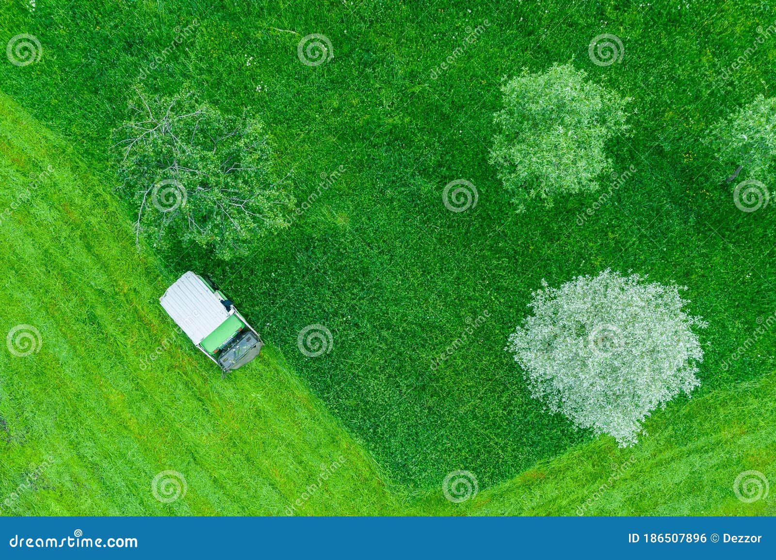 Lawn Mower Machine Rides On Grass Mowing Tall Grass In A City Park Among Trees Aerial Top View Stock Photo Image Of Nature Mower 186507896