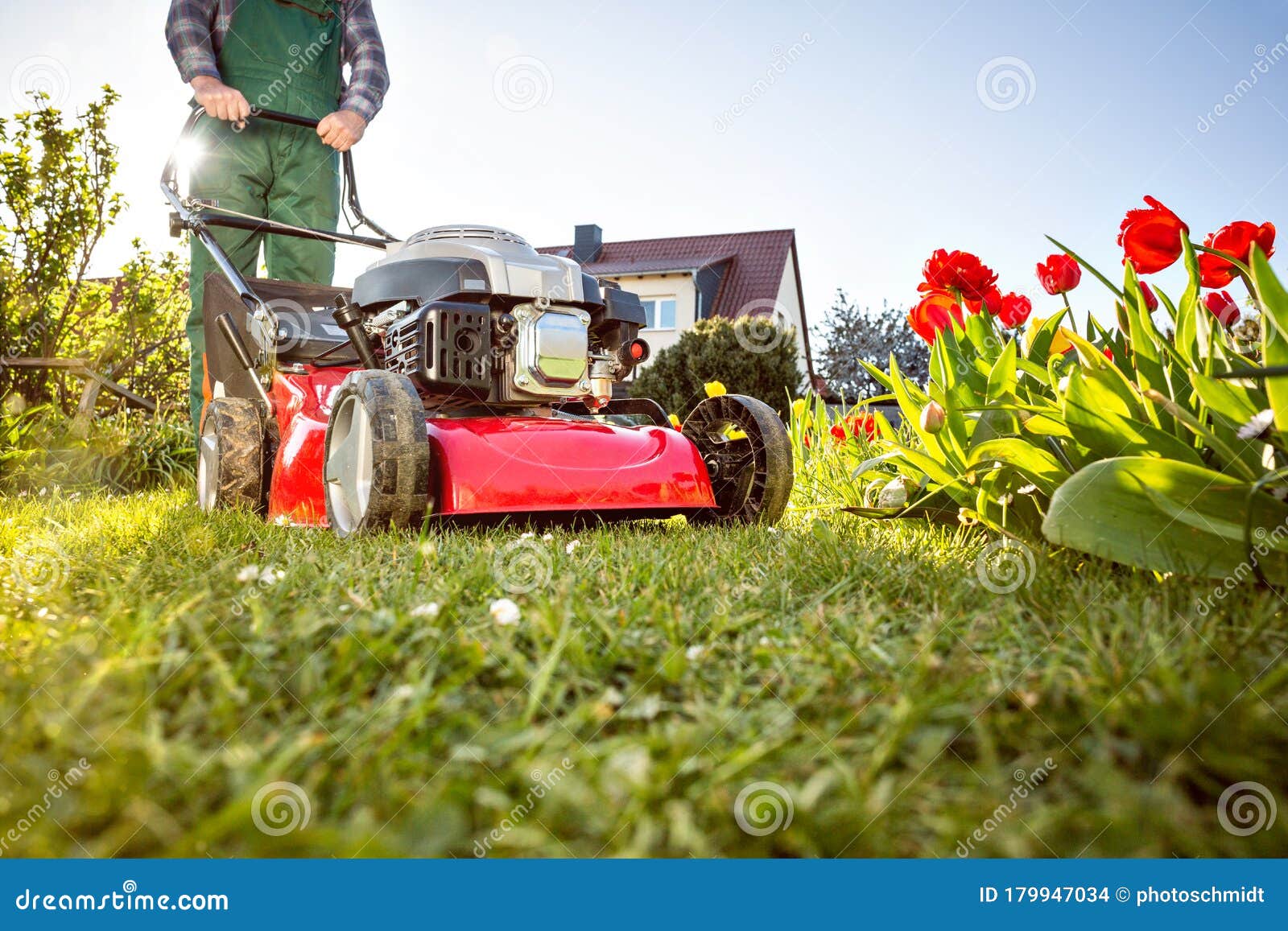 Lawn Mower on a Meadow at Home Stock Photo Image of lawn, gardening