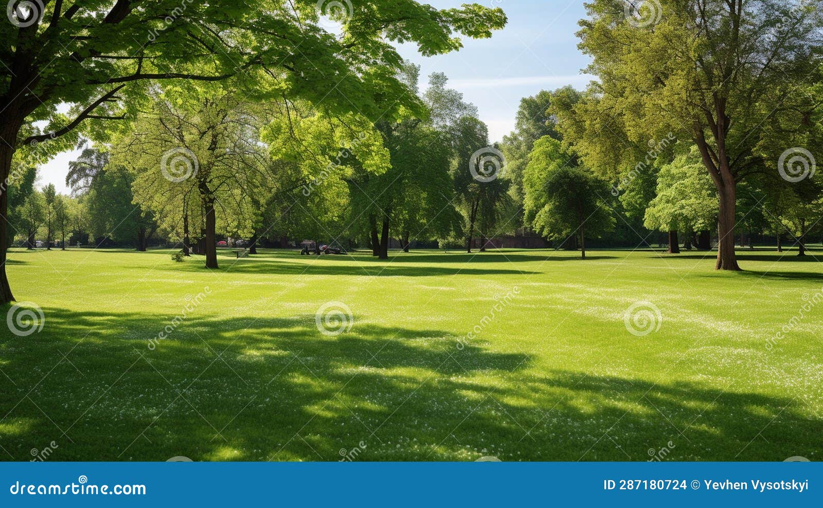 The Lawn in the Park the Image of a Large Lawn in a Pa_009 Stock ...