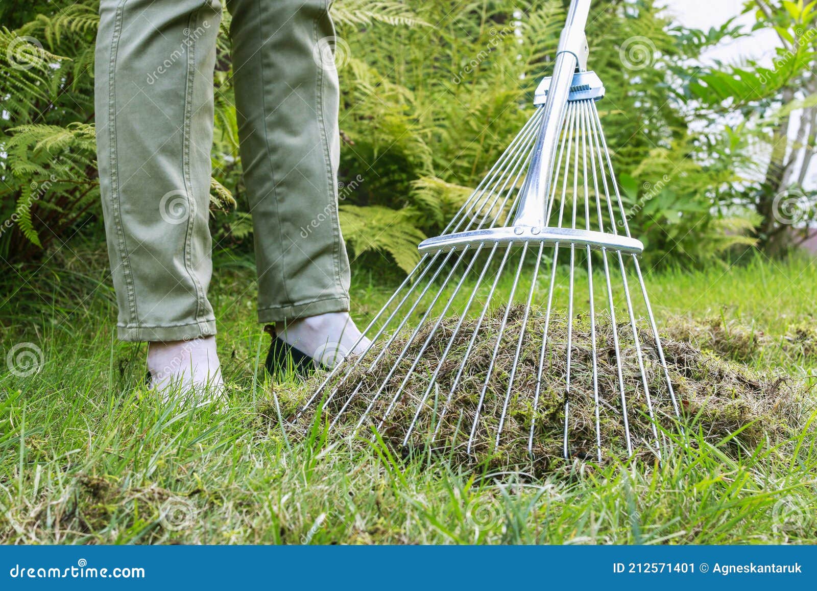 Lawn Raking. Work in the Garden Stock Image Image of hobby, season