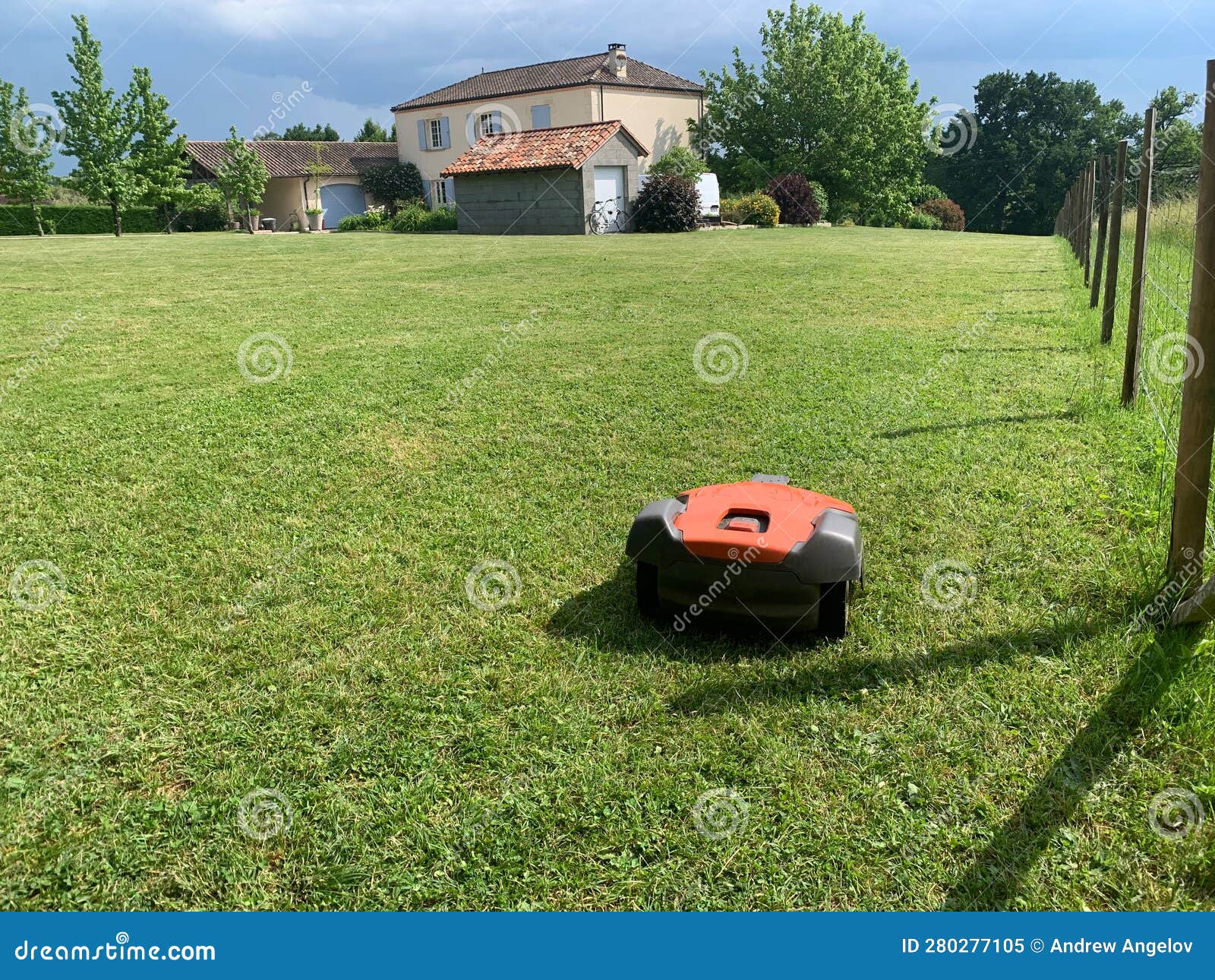 Lawn Robot Mows the Lawn. Robotic Lawn Mower Cutting Grass in Th Stock