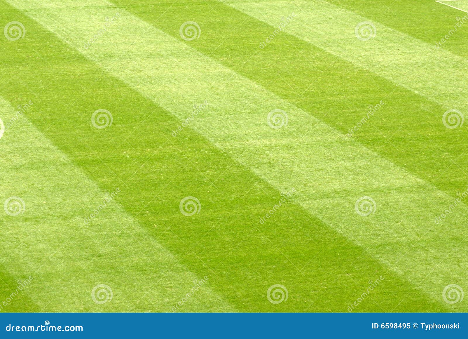 Lawn in a stadium stock image. Image of athletic, field 6598495