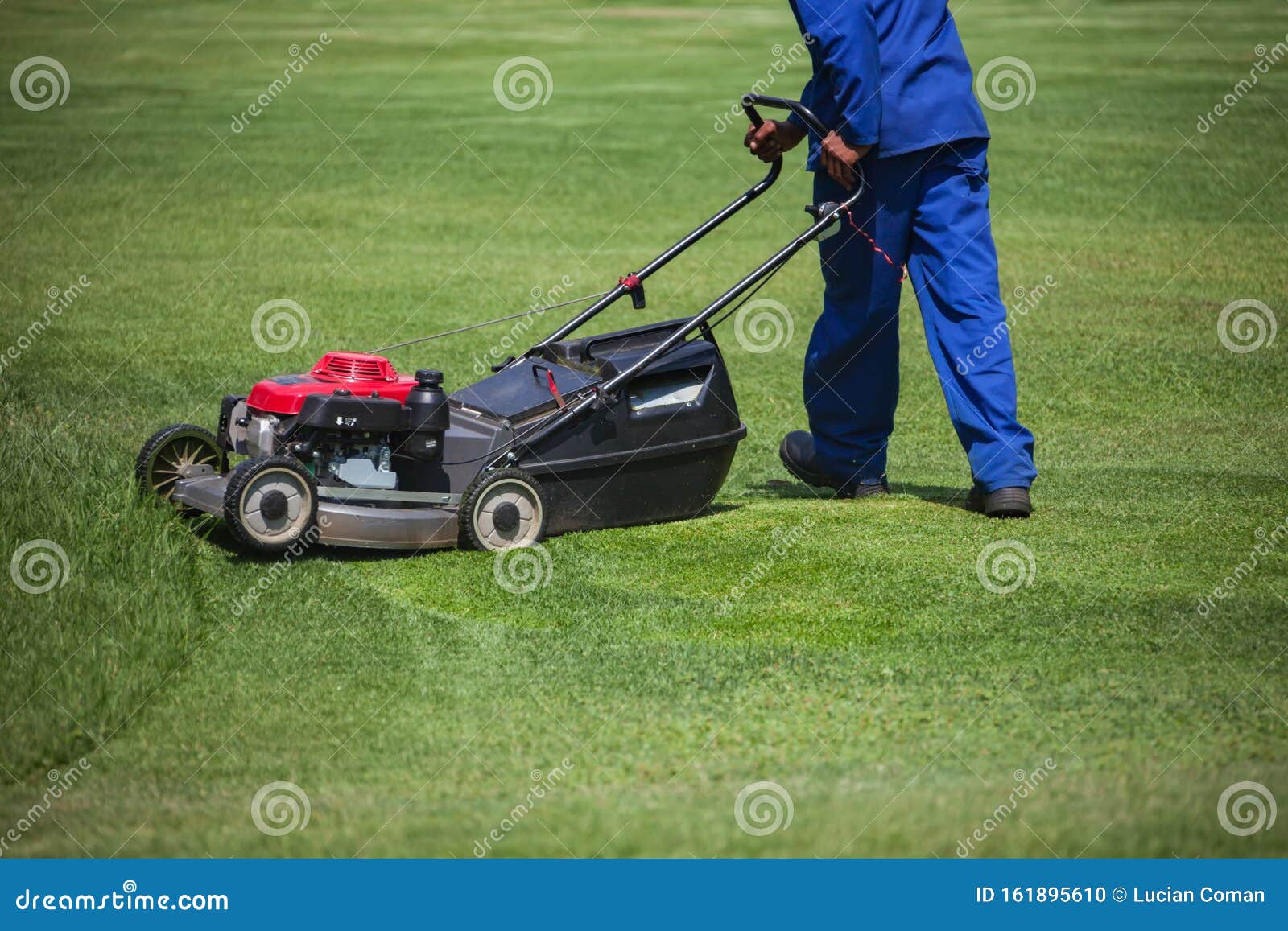 Lawnmower Cutting Green Grass Stock Photo Image of grassland, african
