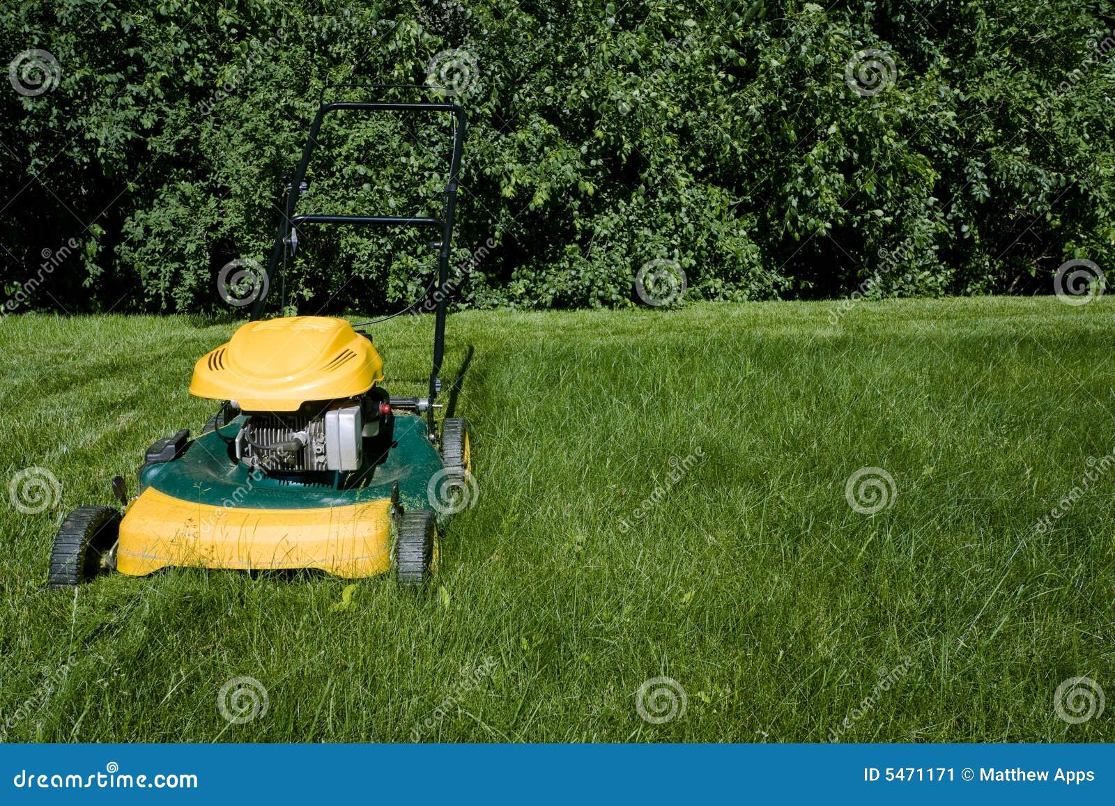 Lawnmower, Cutting Green Grass Closeup with Space Stock Image Image