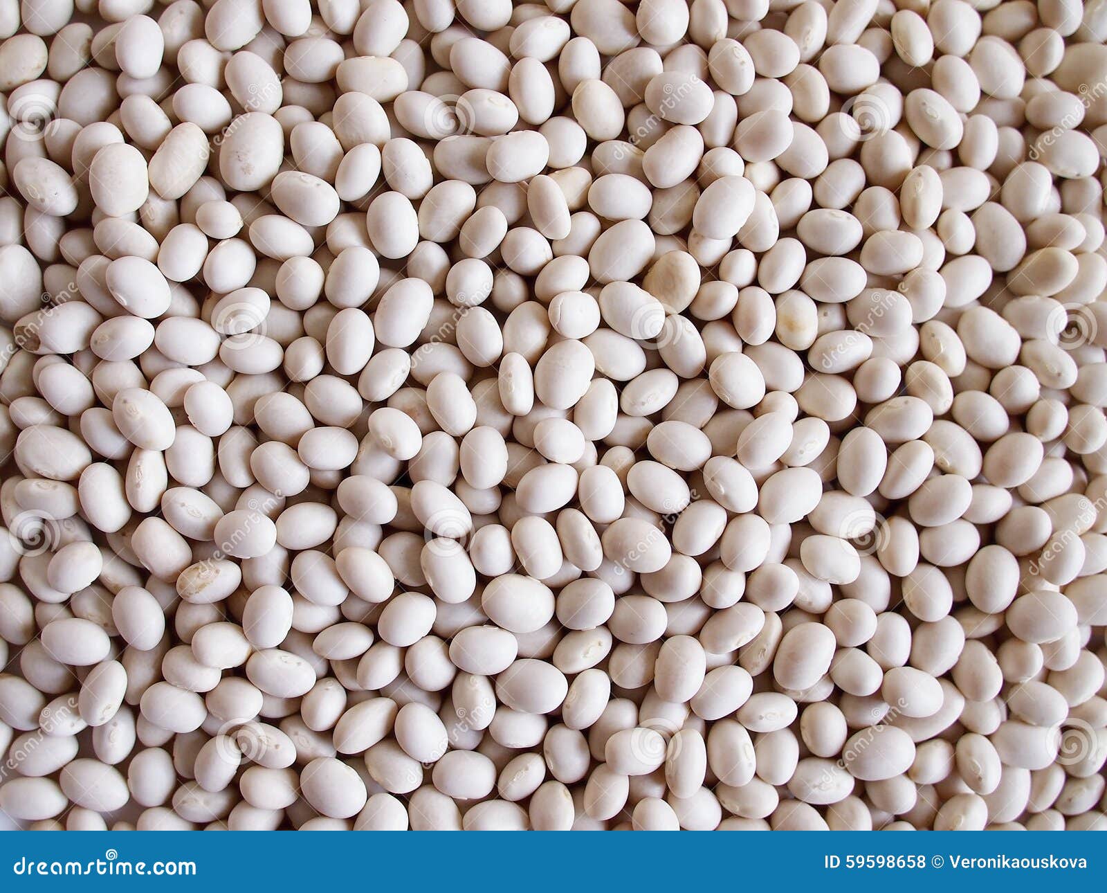 Layer of dry white beans. stock photo. Image of closeup 59598658