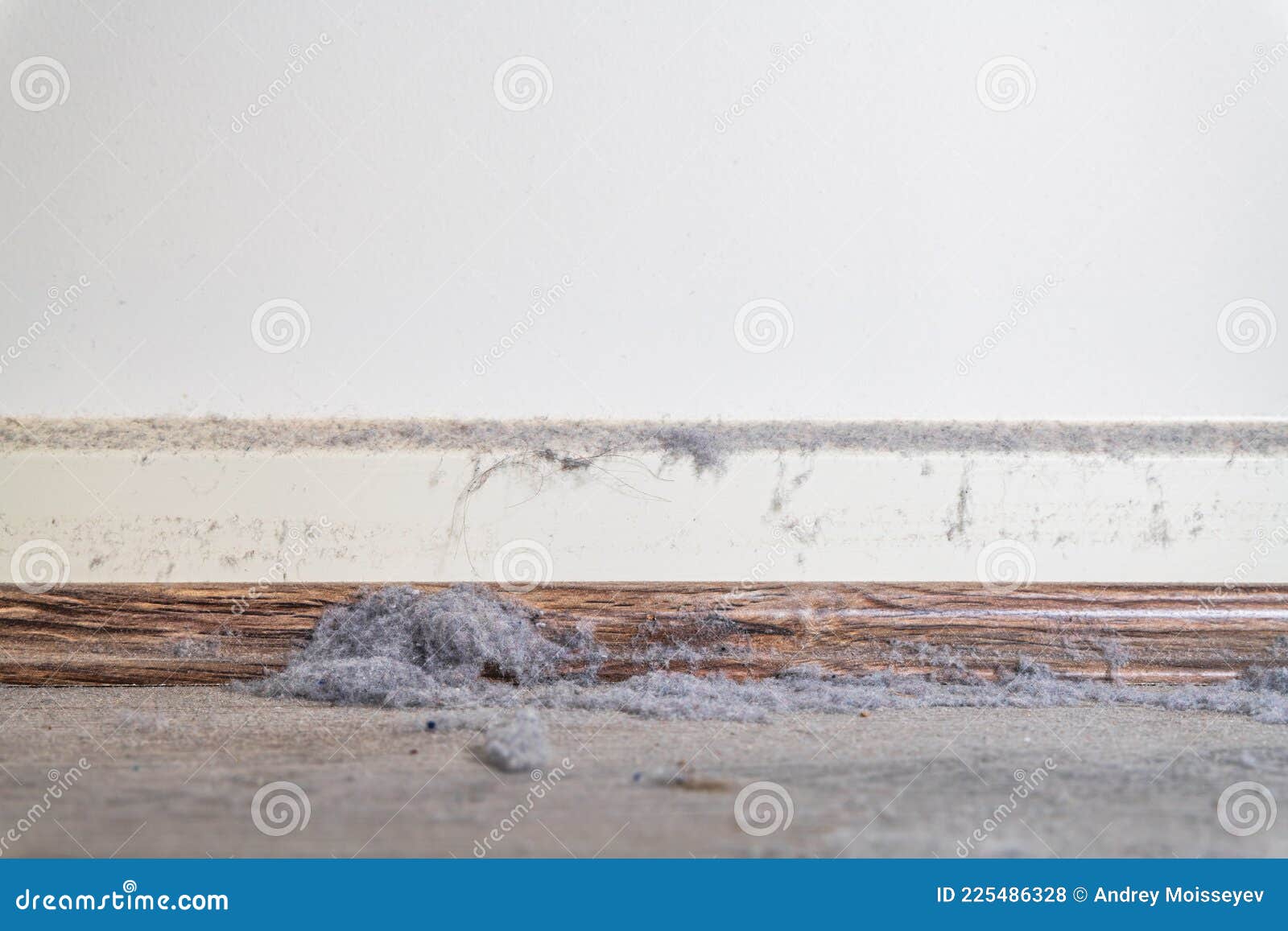Layer of Dust Under the Bed Inside a House Stock Photo Image of