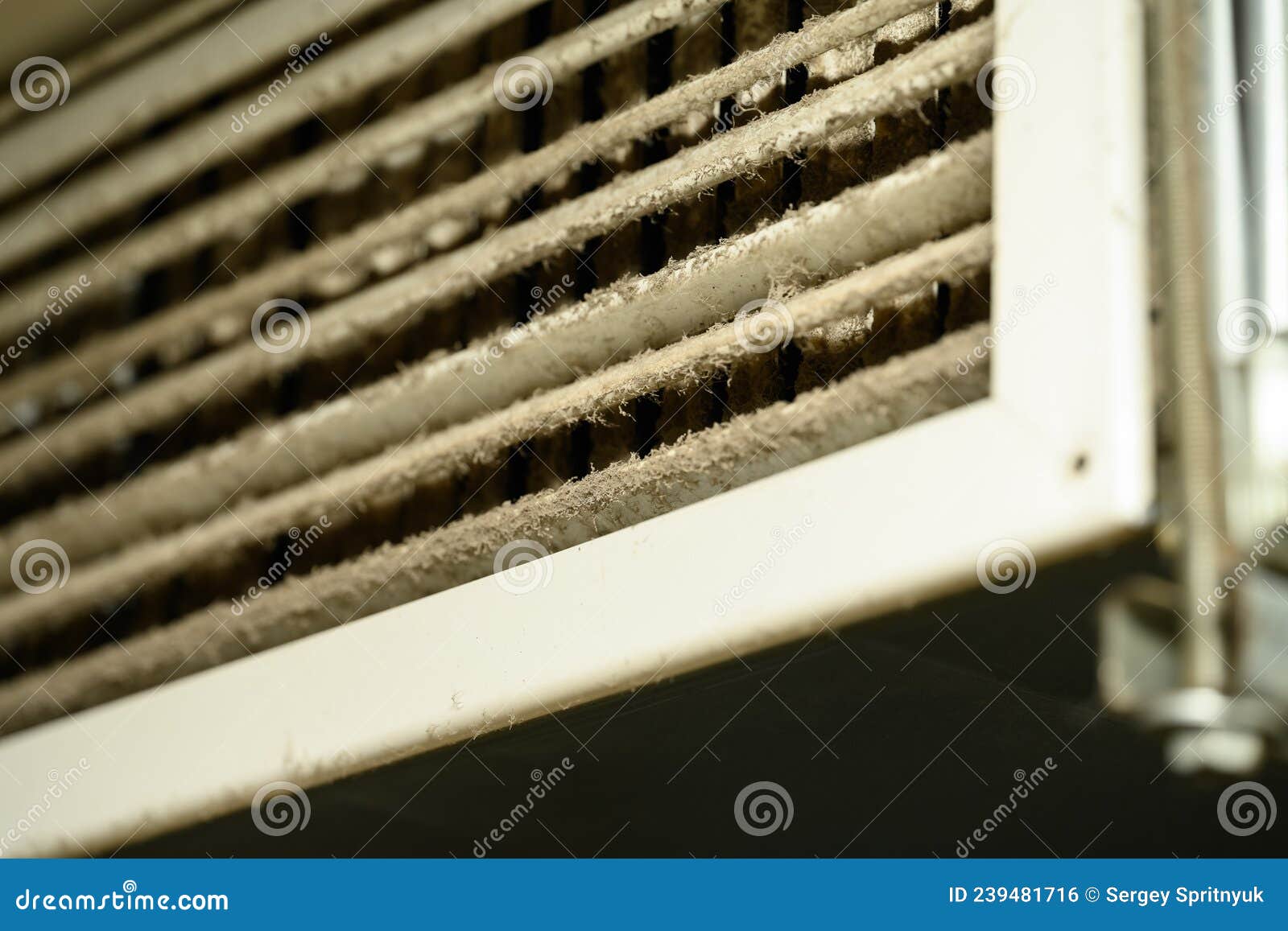 A Layer of Dust on the Ventilation Grill in the Bathroom. To Clean