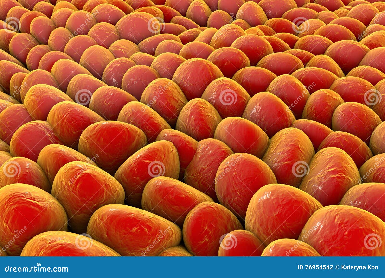 Layer of human cells stock illustration. Illustration of health 76954542