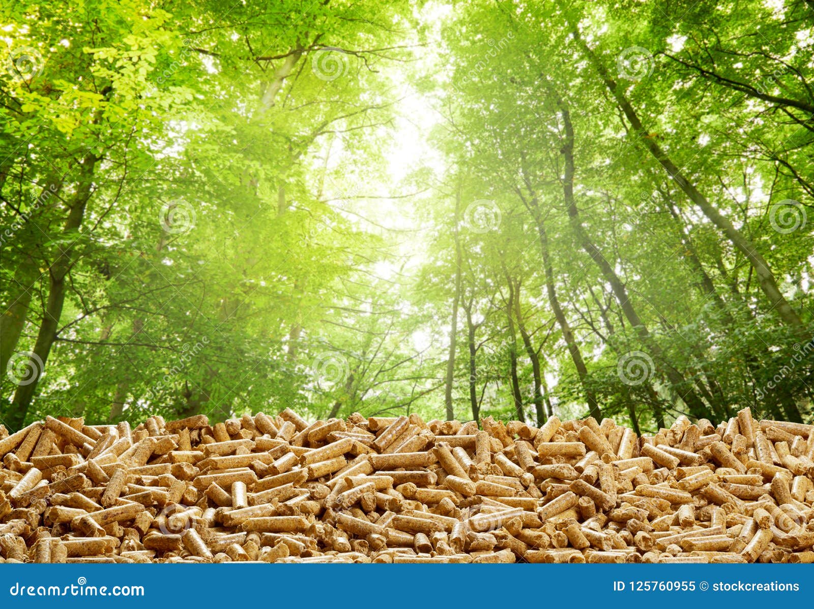 layer of organic wood pellets in a green forest