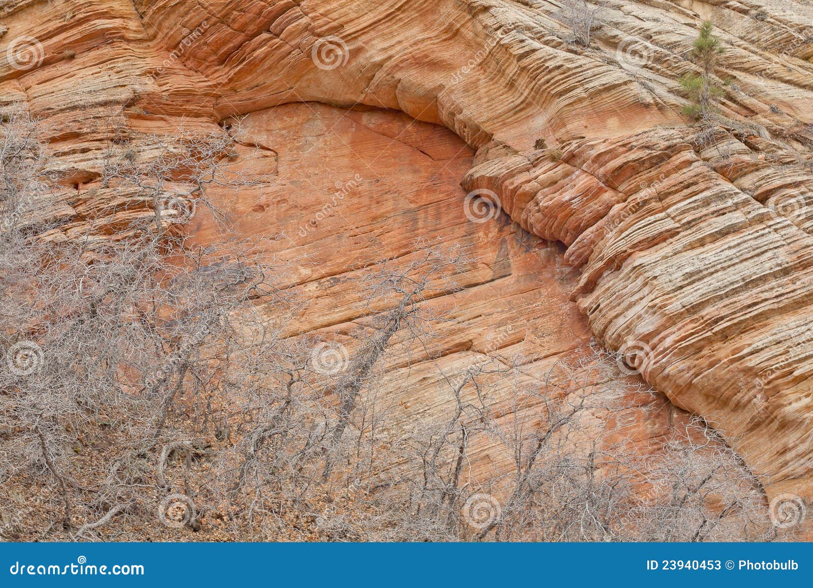 Layers of Sandstone in Zion National Park, Utah Stock Image Image of