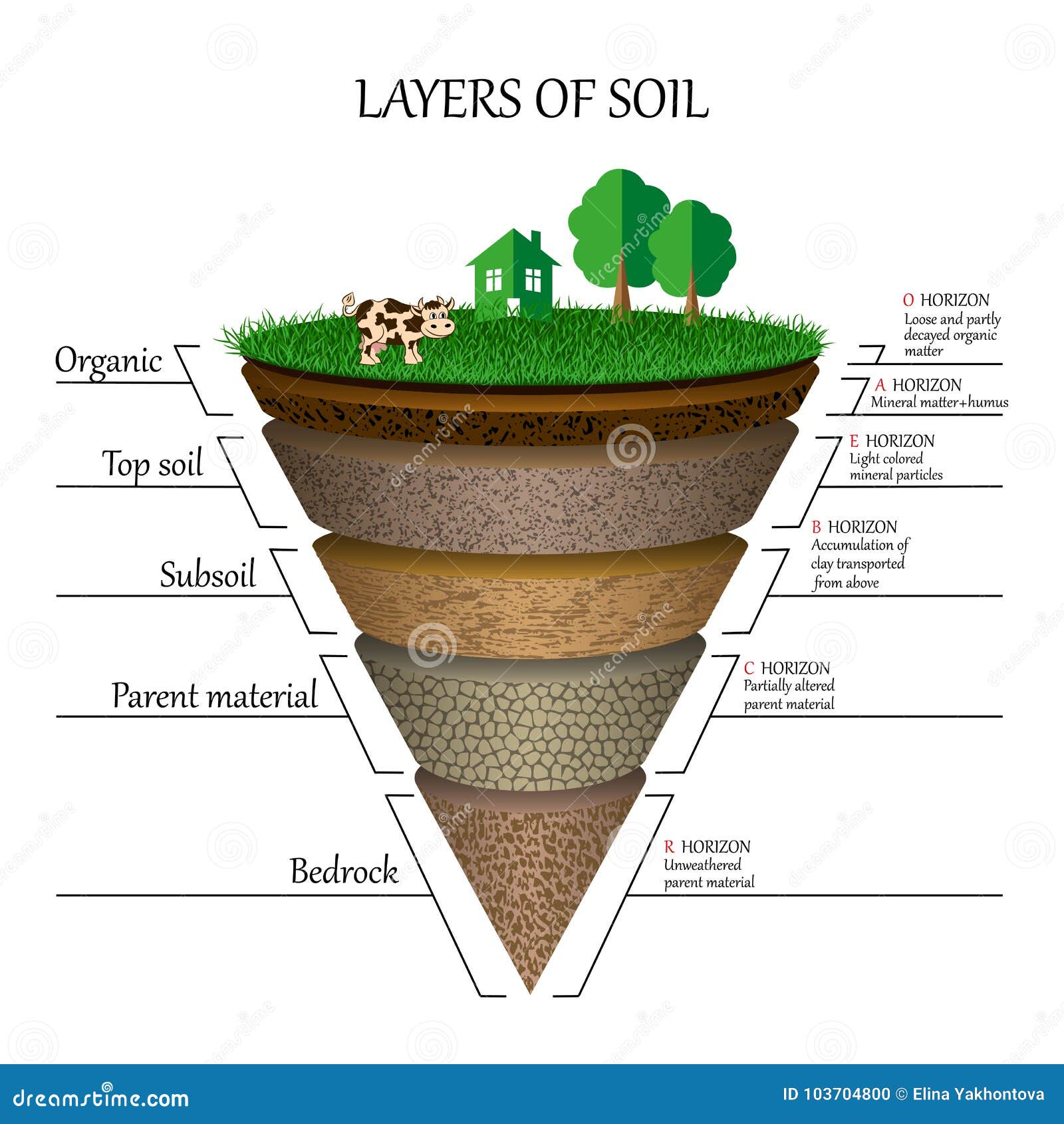 layers of soil, education diagram. mineral particles, sand, humus and stones, clay, template for banners, pages. .