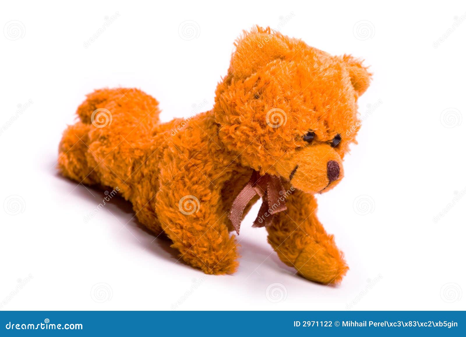 Laying bear stock photo. Image of twisted, doll, legs - 2971122