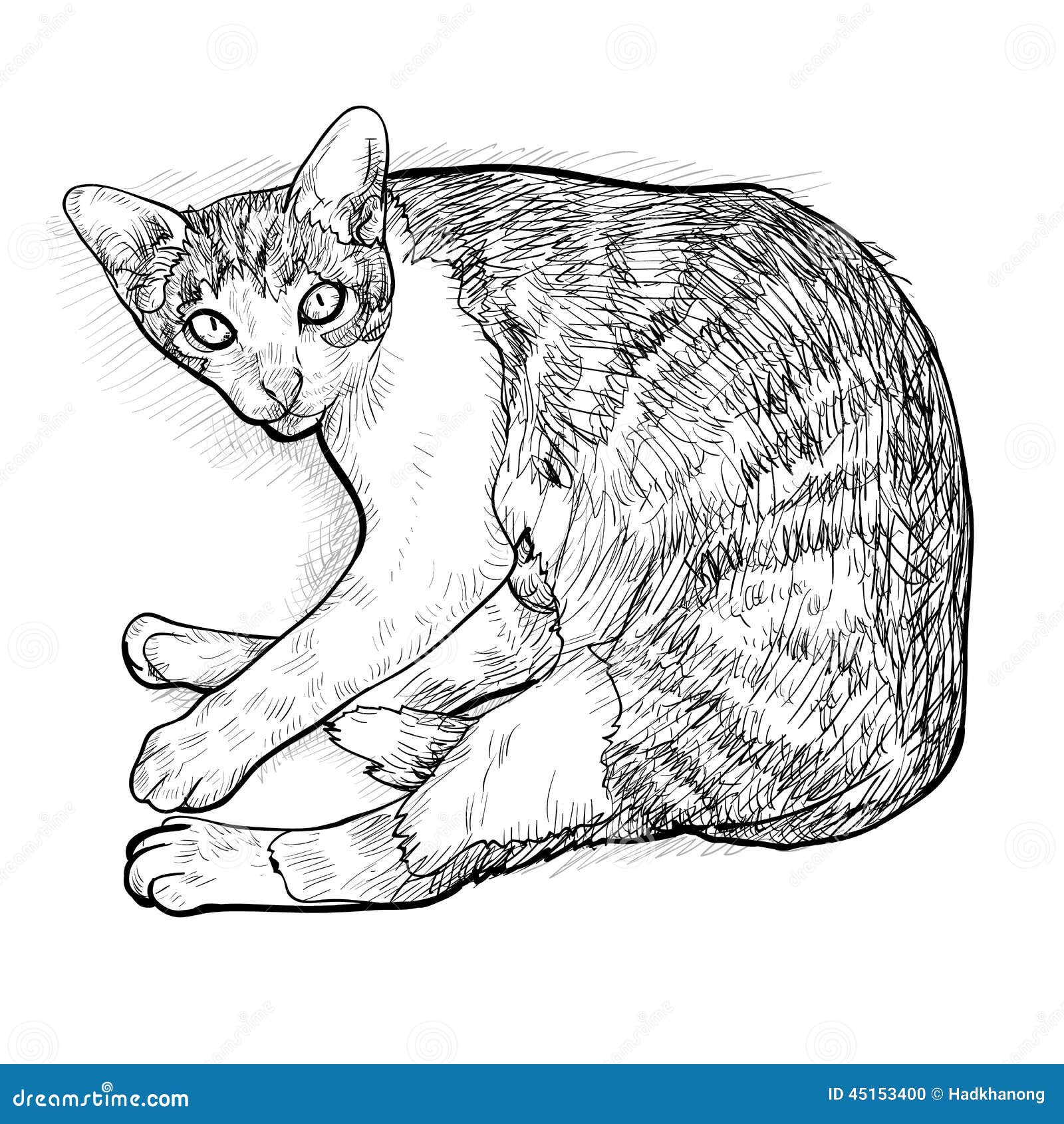 Laying Down Cat. Illustration Stock Illustration - Illustration of