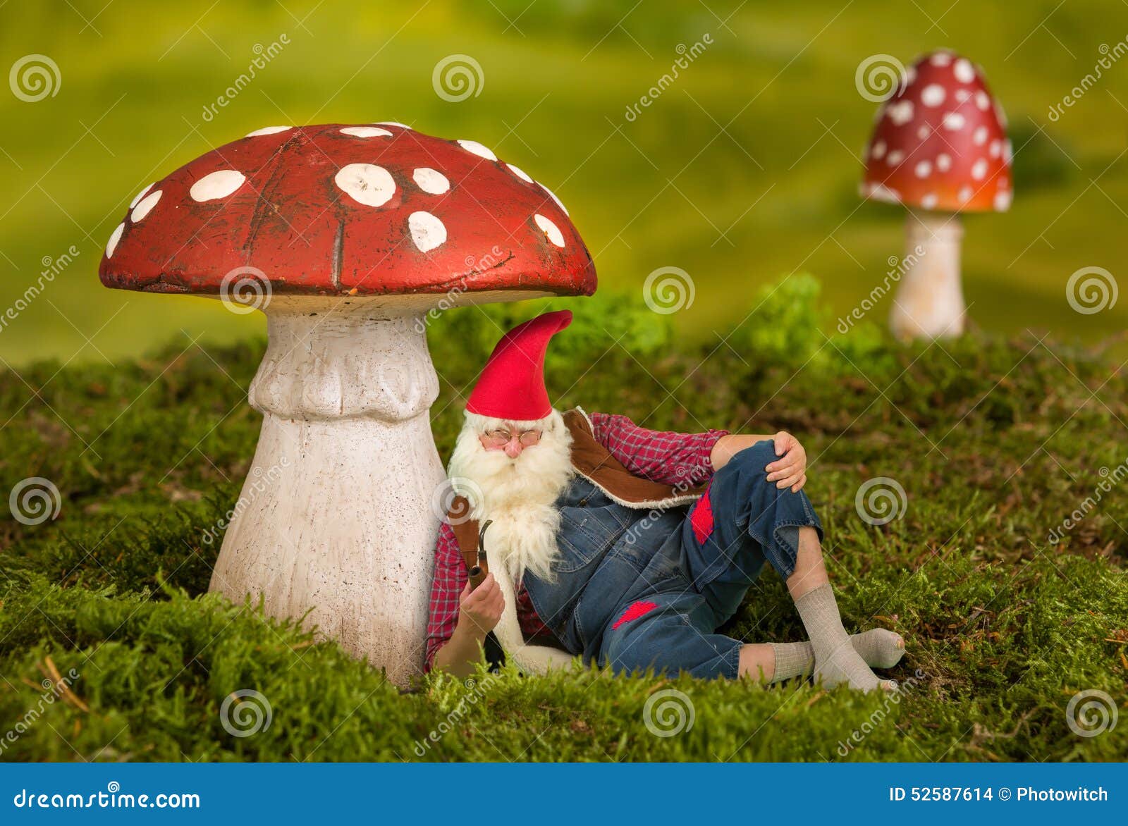Lazy Garden Gnome Under Toadstool Stock Photo Image Of Play Lazy 52587614