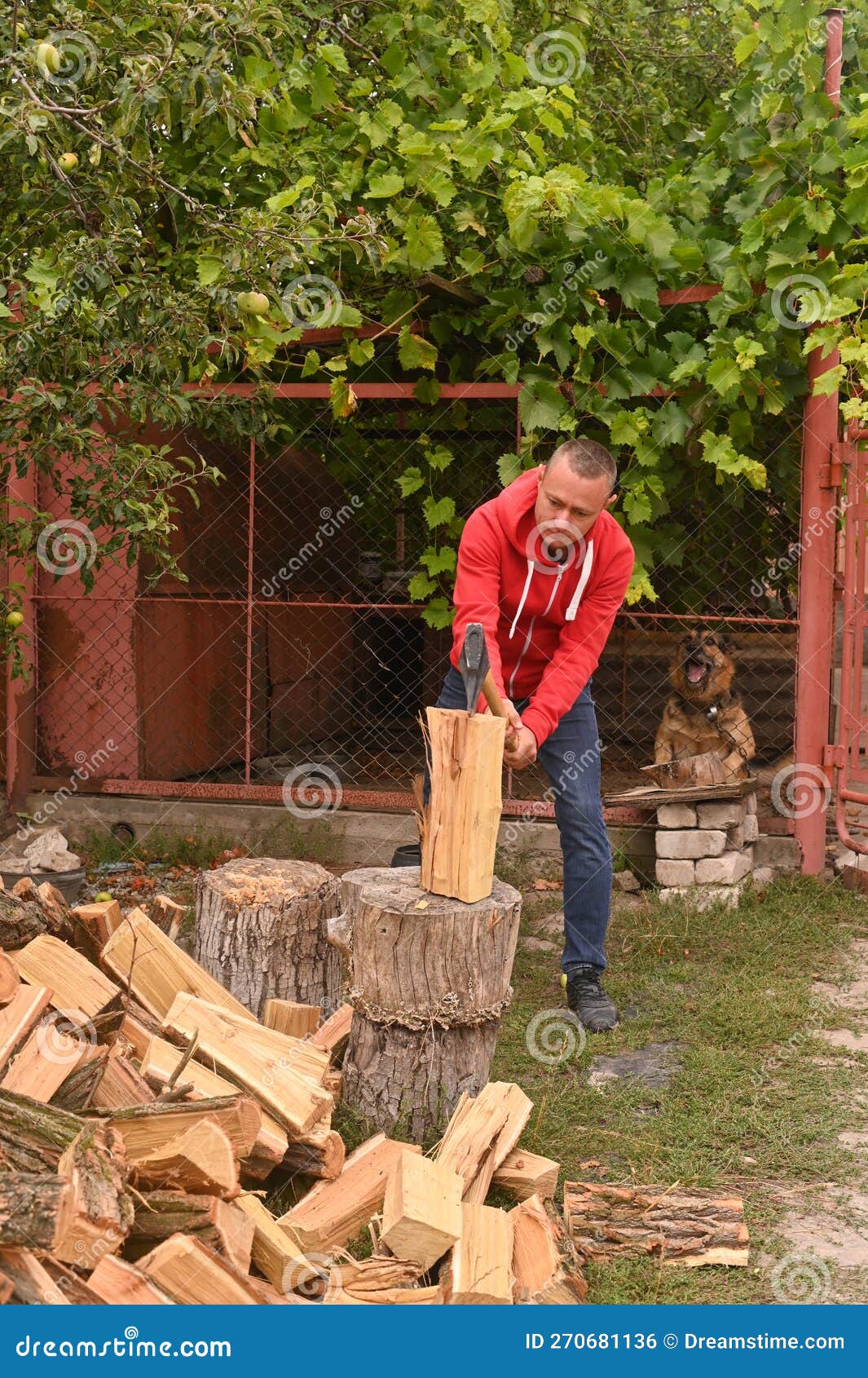 cortando leña con un hacha Stock Photo