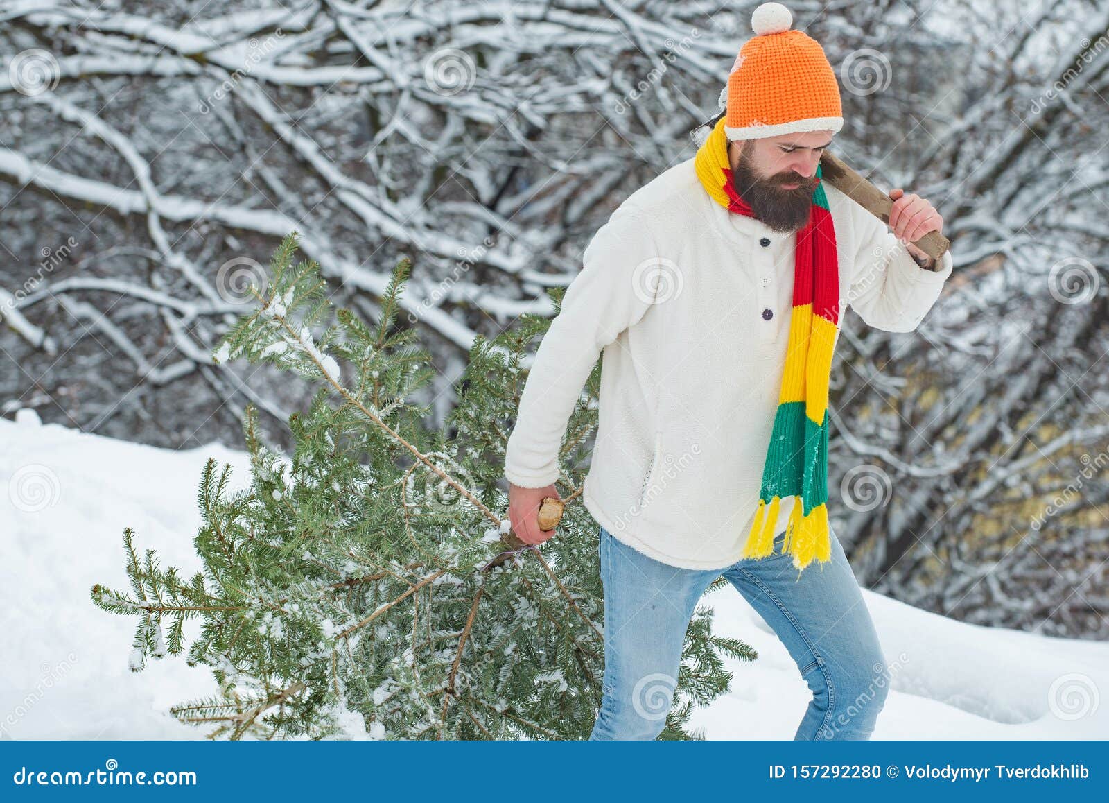 LeÃ±ador De Navidad Con Hacha Y Ã¡rbol De Navidad. Hombre Con Barba Y  Ã¡rbol De Navidad ReciÃ©n Cortado En El Bosque. Compra Foto de archivo -  Imagen de hacha, recién: 157292280