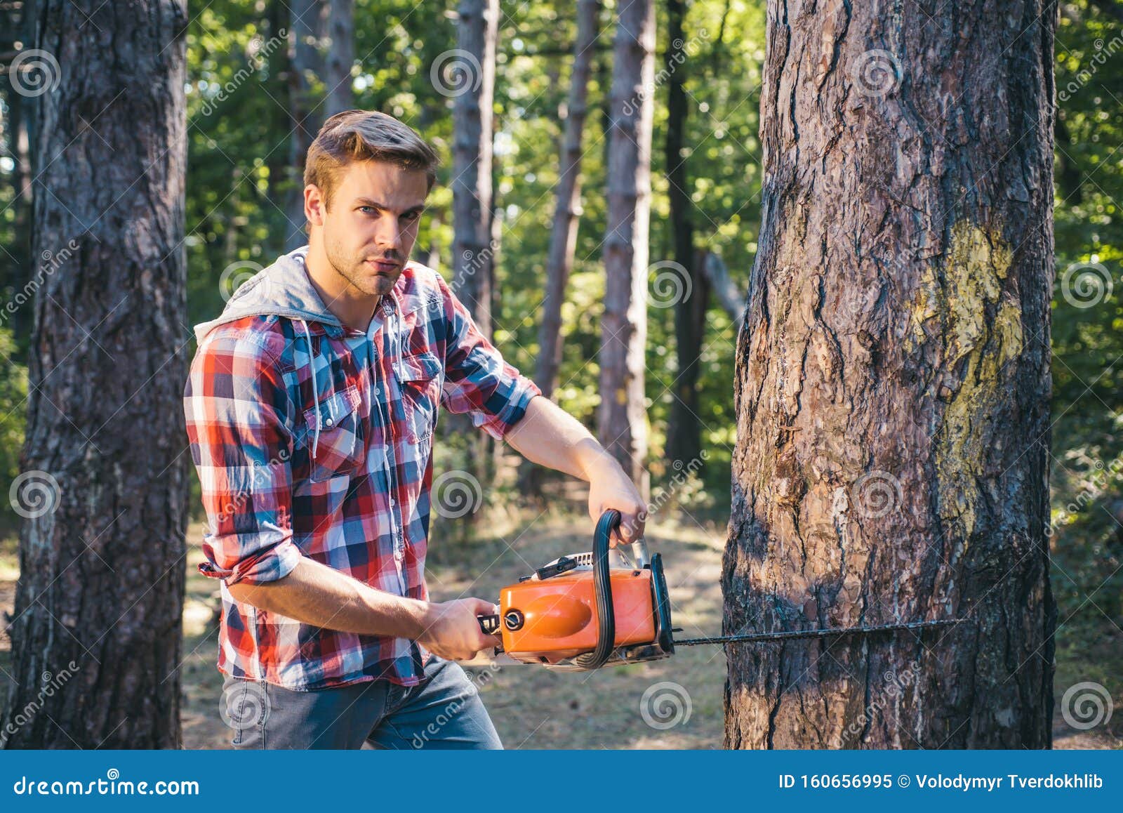 Leñador Fuerte Con Un Hacha O Una Motosierra En Una Camisa Manchada. Un Joven Apuesto Con Barba Porta Un árbol Imagen de archivo - Imagen de leñador, manchada: 160656995