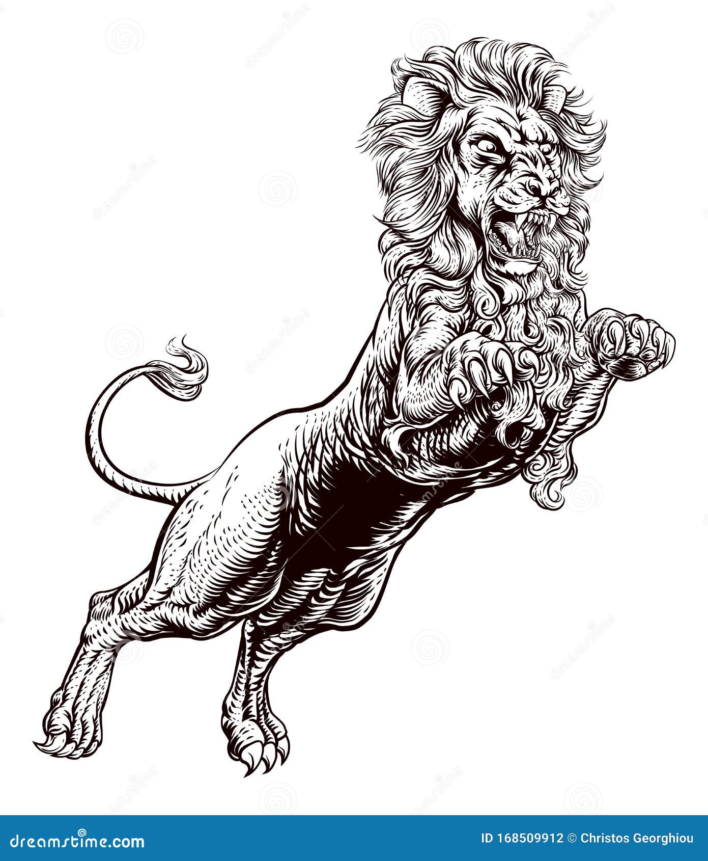 Camarada Rápido Imperio Inca León atacando ilustración ilustración del vector. Ilustración de tatuaje -  168509912