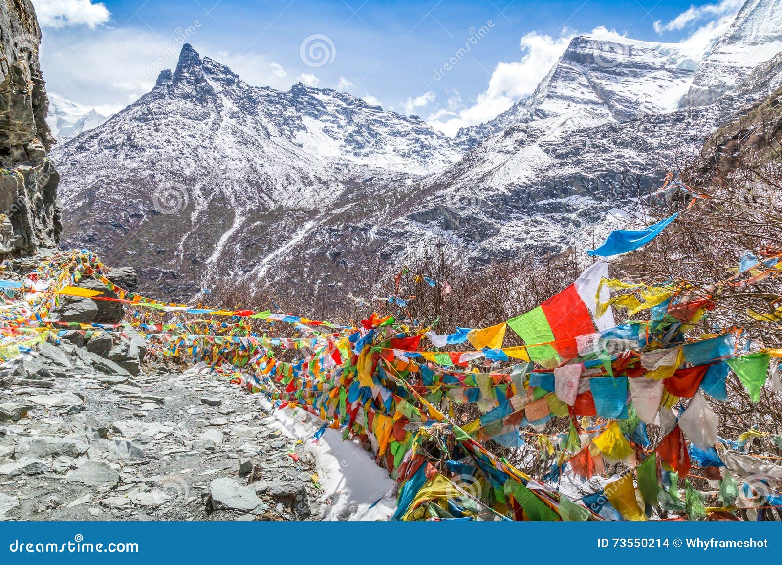 Le Bandiere Tibetane Di Preghiera Del Buddista Sulla Cima Del Pe