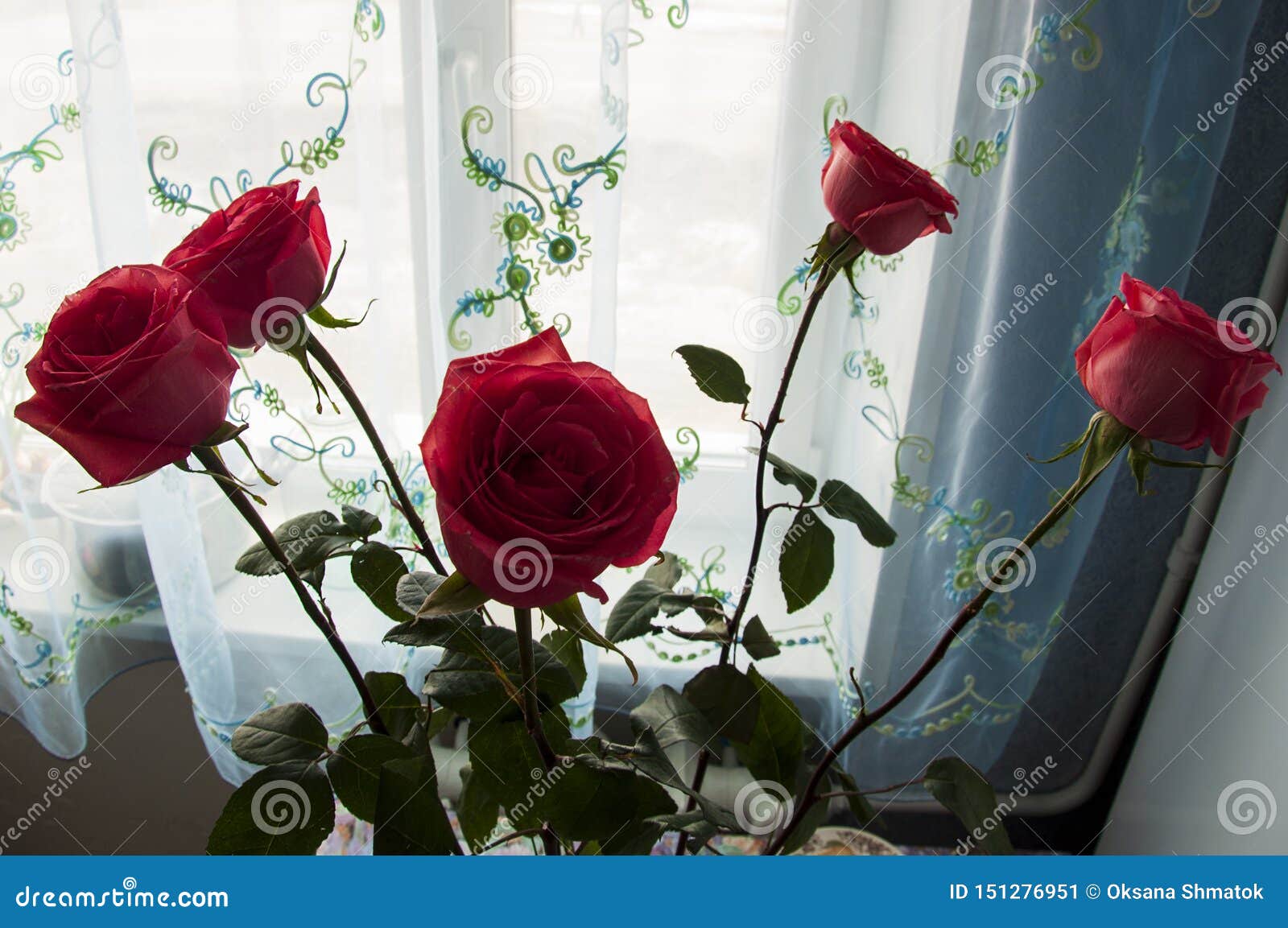 Le beau bouquet avec de grandes fleurs des roses de couleur de corail tendre restent sur la table à la fenêtre feuilles et ?pines de vert Dur?e toujours 1 Fond bleu calme de rideau