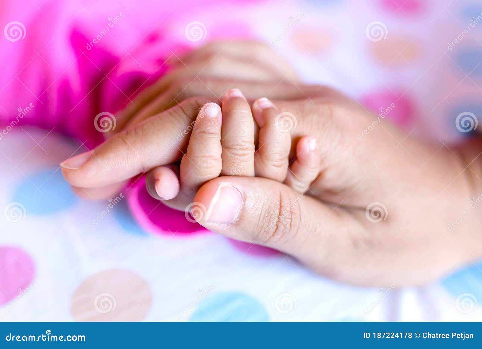 La Main Du Bebe Tient Le Doigt De La Mere Photos Libres De Droits Et Gratuites De Dreamstime La Main Du Bebe Tient Le Doigt De La Mere Photos Libres De Droits Et Gratuites De Dreamstime