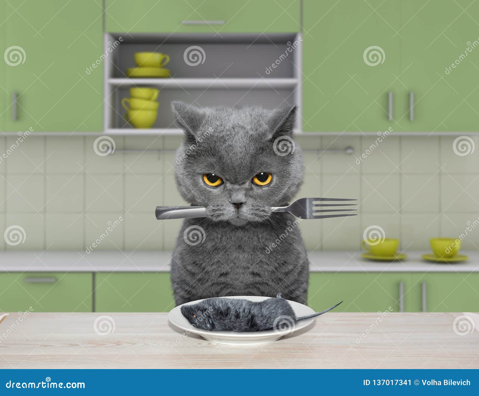 Le Chat Affame Va Manger Une Souris Illustration Stock Illustration Du Chat Alimentation