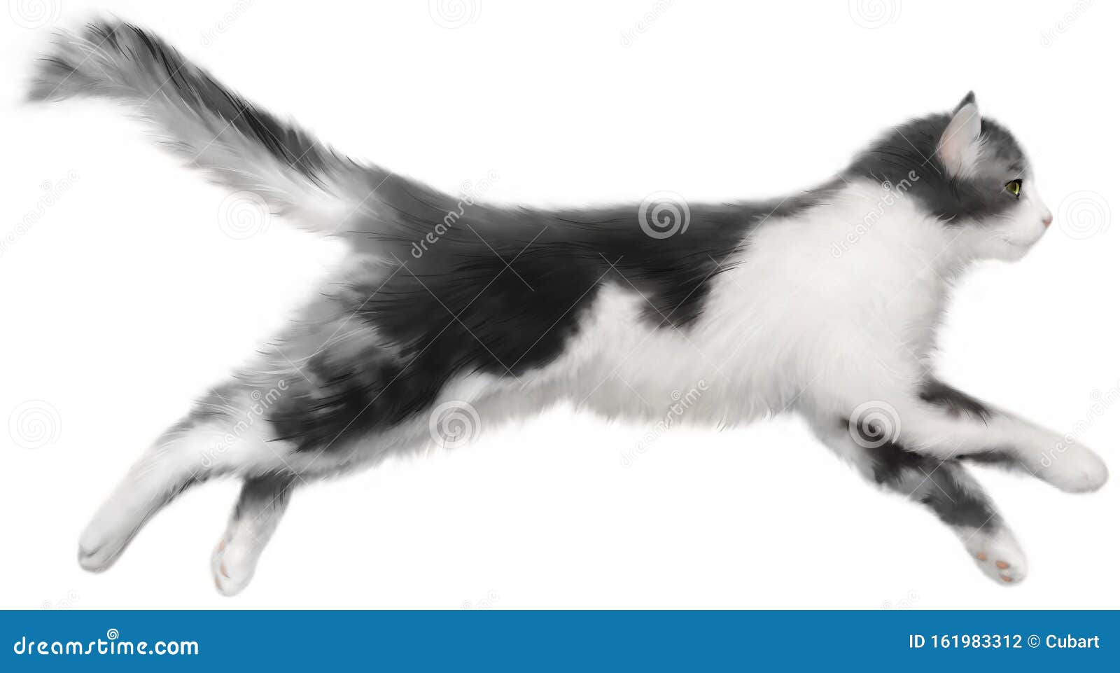 Le Chat Blanc Et Noir Saute Sur Un Fond Blanc Illustration Stock Illustration Du Jeune Mammifere Le Chat Blanc Et Noir Saute Sur Un Fond Blanc Illustration Stock Illustration Du Jeune Mammifere