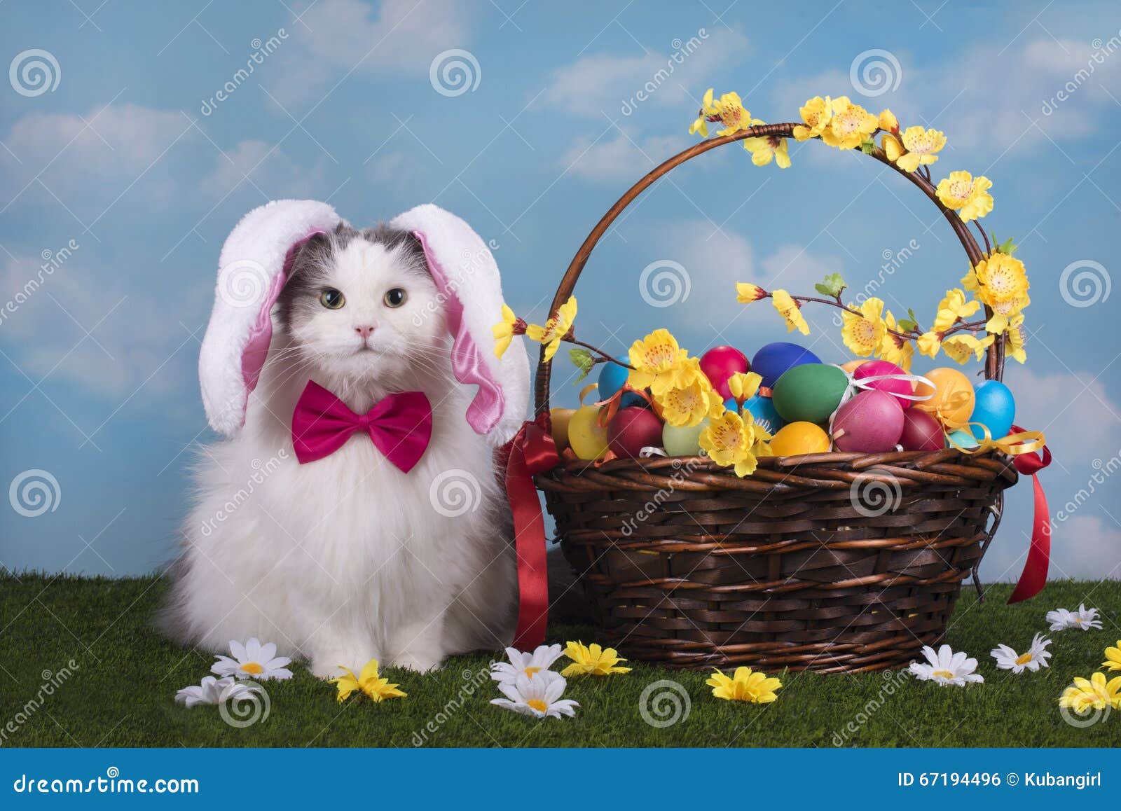 Le Chat Dans Le Lapin De Costume Célèbre Pâques Photo stock - Image du  herbe, lapin: 67194496