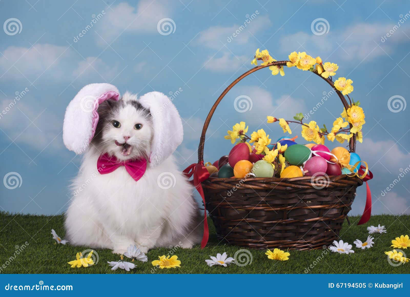 Le Chat Dans Le Lapin De Costume Célèbre Pâques Image stock - Image du  chasse, branchement: 67194505