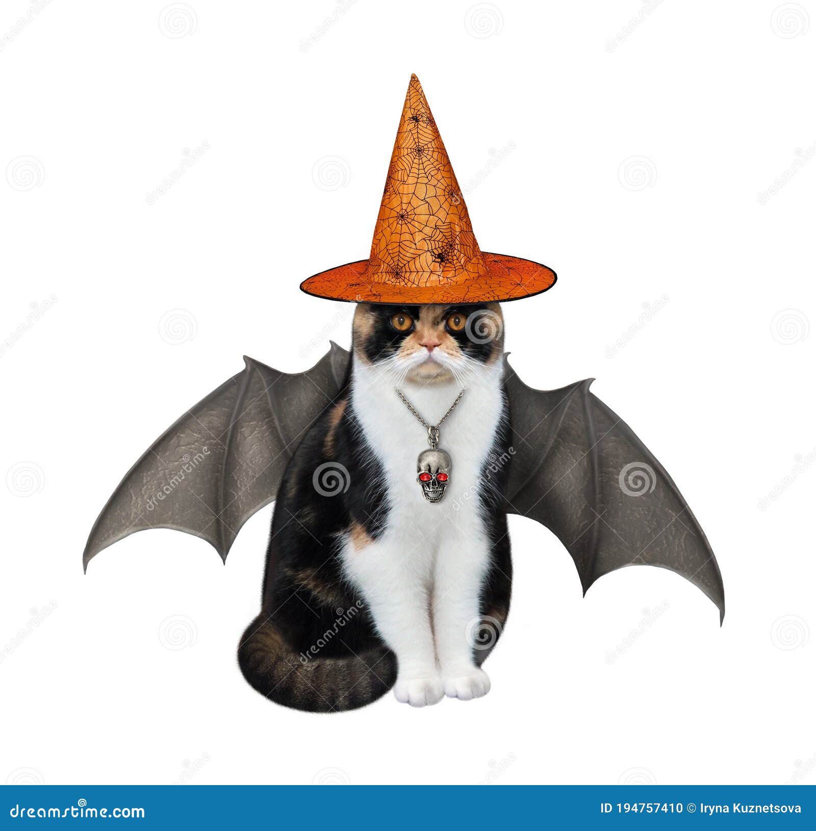 Le Chat A Des Ailes De Chauve Souris Pour Halloween Photo Stock Image Du Motivation Carte Le Chat A Des Ailes De Chauve Souris Pour Halloween Photo Stock Image Du Motivation Carte
