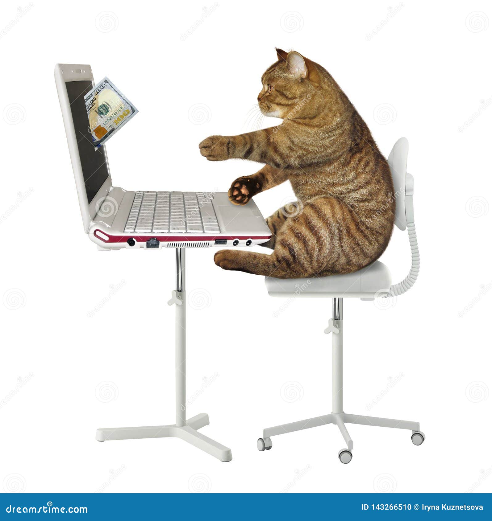 Le Chat Gagne L Argent Sur L Ordinateur Photo Stock Image Du Chat Baisse Le Chat Gagne L Argent Sur L Ordinateur Photo Stock Image Du Chat Baisse