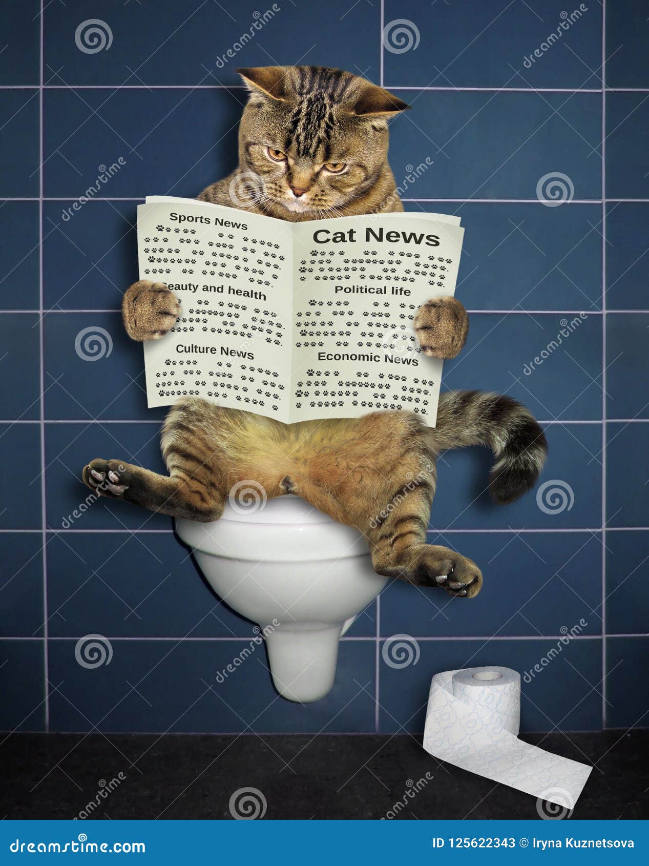 Le Chat Lit Un Journal Sur La Toilette Image Stock Image Du Commodite Piece Le Chat Lit Un Journal Sur La Toilette Image Stock Image Du Commodite Piece