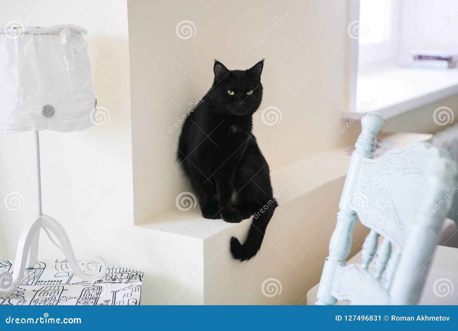 Le Chat Noir Sur Un Fond Blanc Se Repose Sur Un Filon Couche De Fenetre A Cote D Une Table En Bois Et D Une Lampe Image Stock Image Du Film Chat Le Chat Noir Sur Un Fond Blanc Se Repose Sur Un Filon Couche De Fenetre A Cote D Une Table En Bois Et D Une Lampe Image Stock Image Du Film Chat