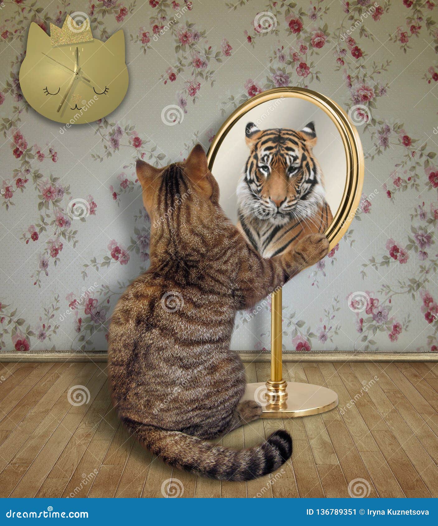 Le Chat Regarde Un Tigre Dans Le Miroir Image Stock Image Du Chat Dans Le Chat Regarde Un Tigre Dans Le Miroir Image Stock Image Du Chat Dans