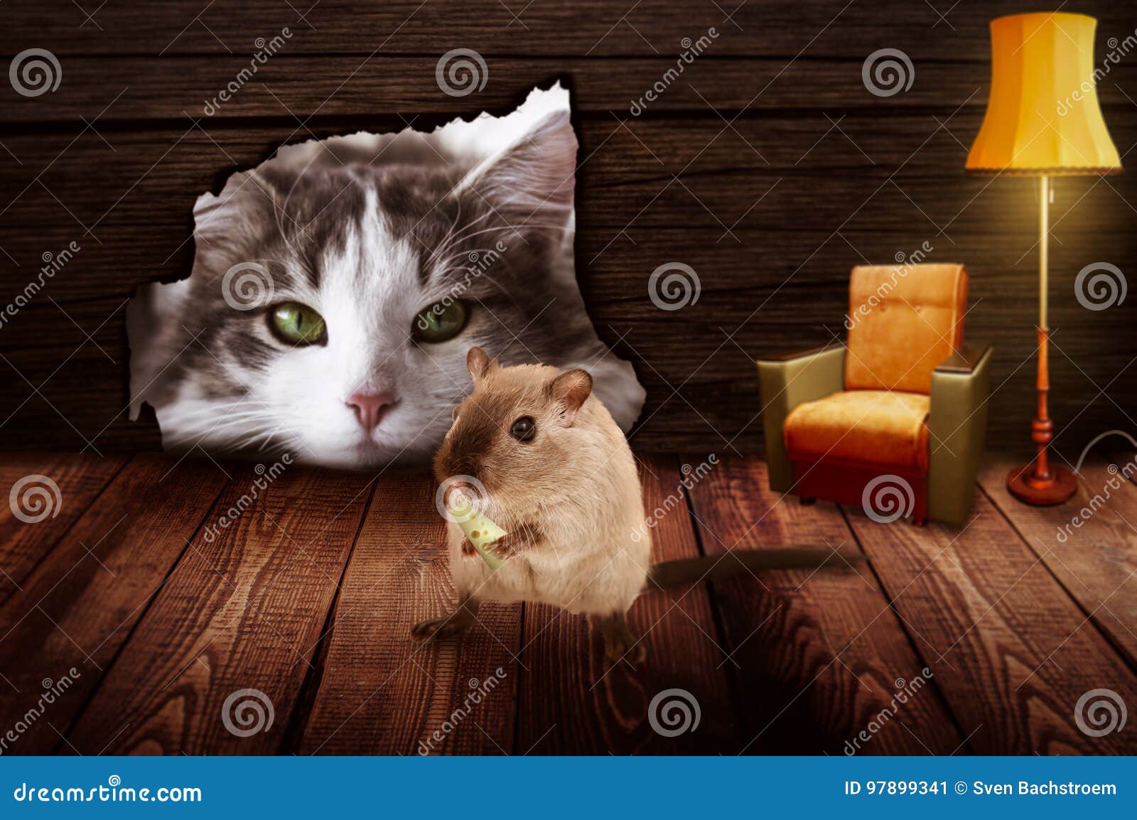 Le Chat Se Repose Devant Le Trou De Souris Et Observe La Souris Image Stock Image Du Repose Trou Le Chat Se Repose Devant Le Trou De Souris Et Observe La Souris Image Stock Image Du Repose Trou