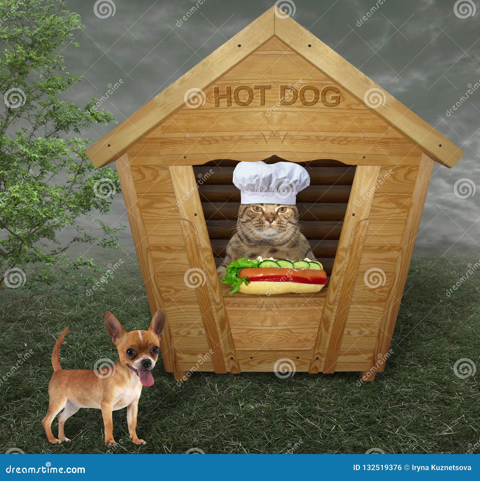 Le Chat Vend Les Hot Dogs Photo Stock Image Du Arbre
