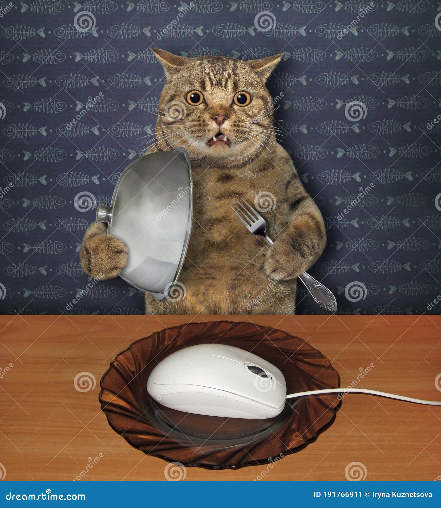 Le Chat Veut Manger De La Souris D Ordinateur 2 Image Stock Image Du Confus Dejeuner Le Chat Veut Manger De La Souris D Ordinateur 2 Image Stock Image Du Confus Dejeuner