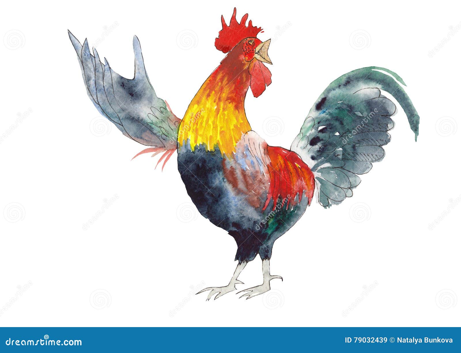le coq chante