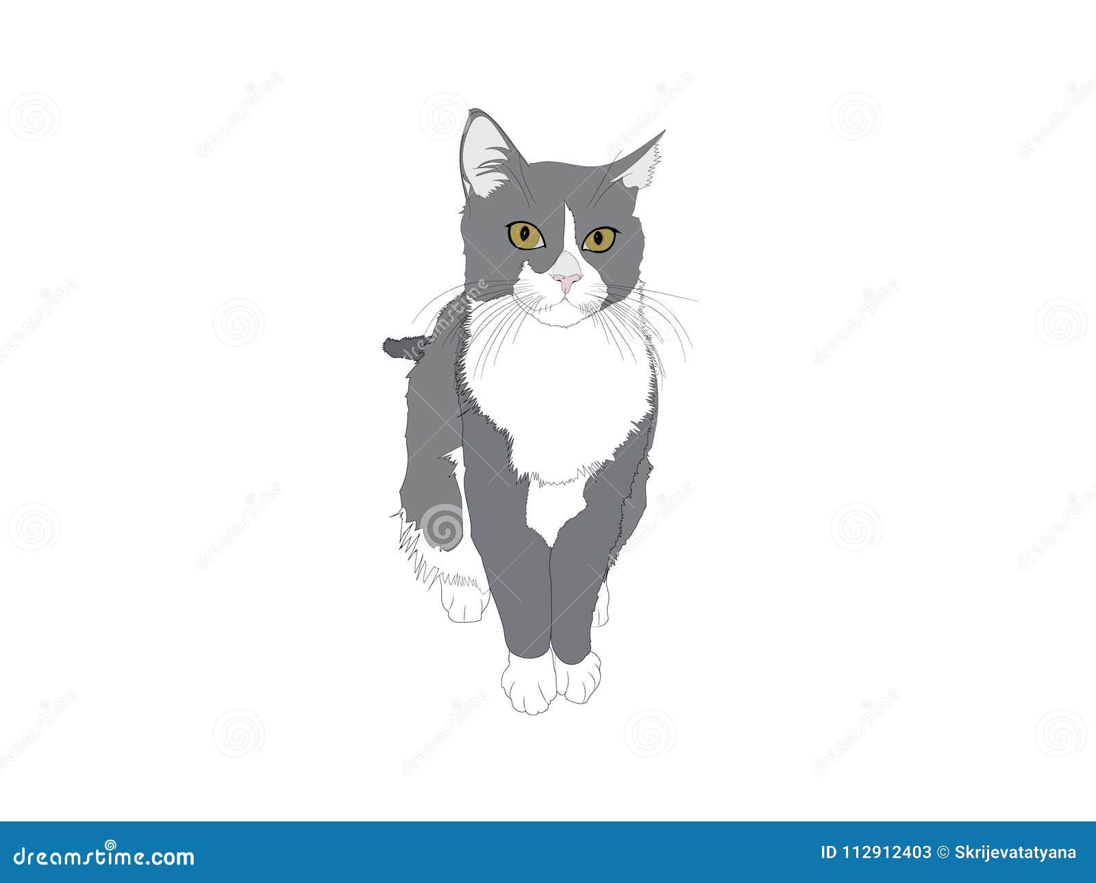 Le Dessin D Un Chat Gris D Isolement Avec Yeux Realistes Illustration De Vecteur Illustration Du Dessin Isolement