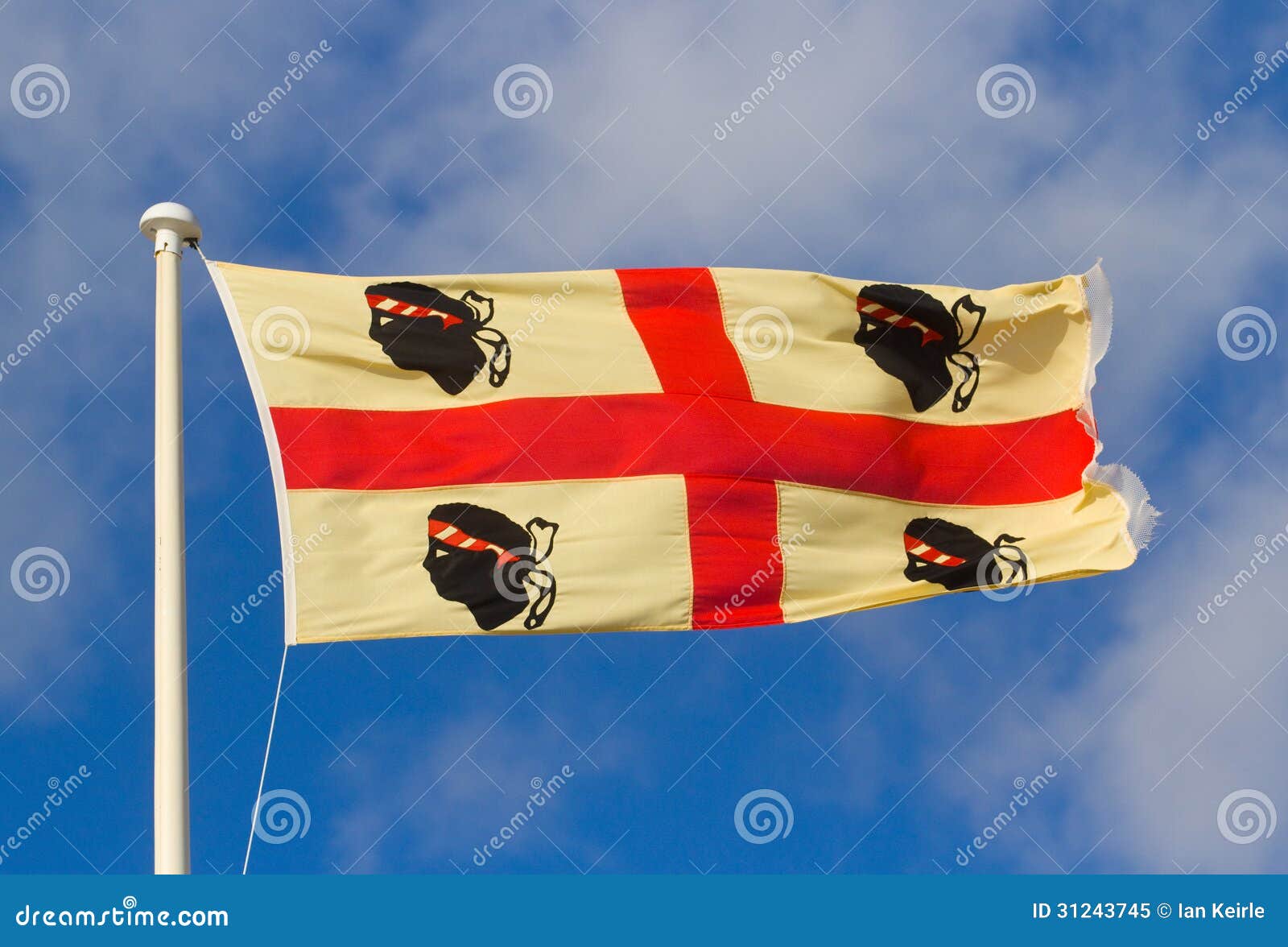 Drapeau Royaume De Sardaigne 1720-1861 150x90cm - De Sarde - Piémont