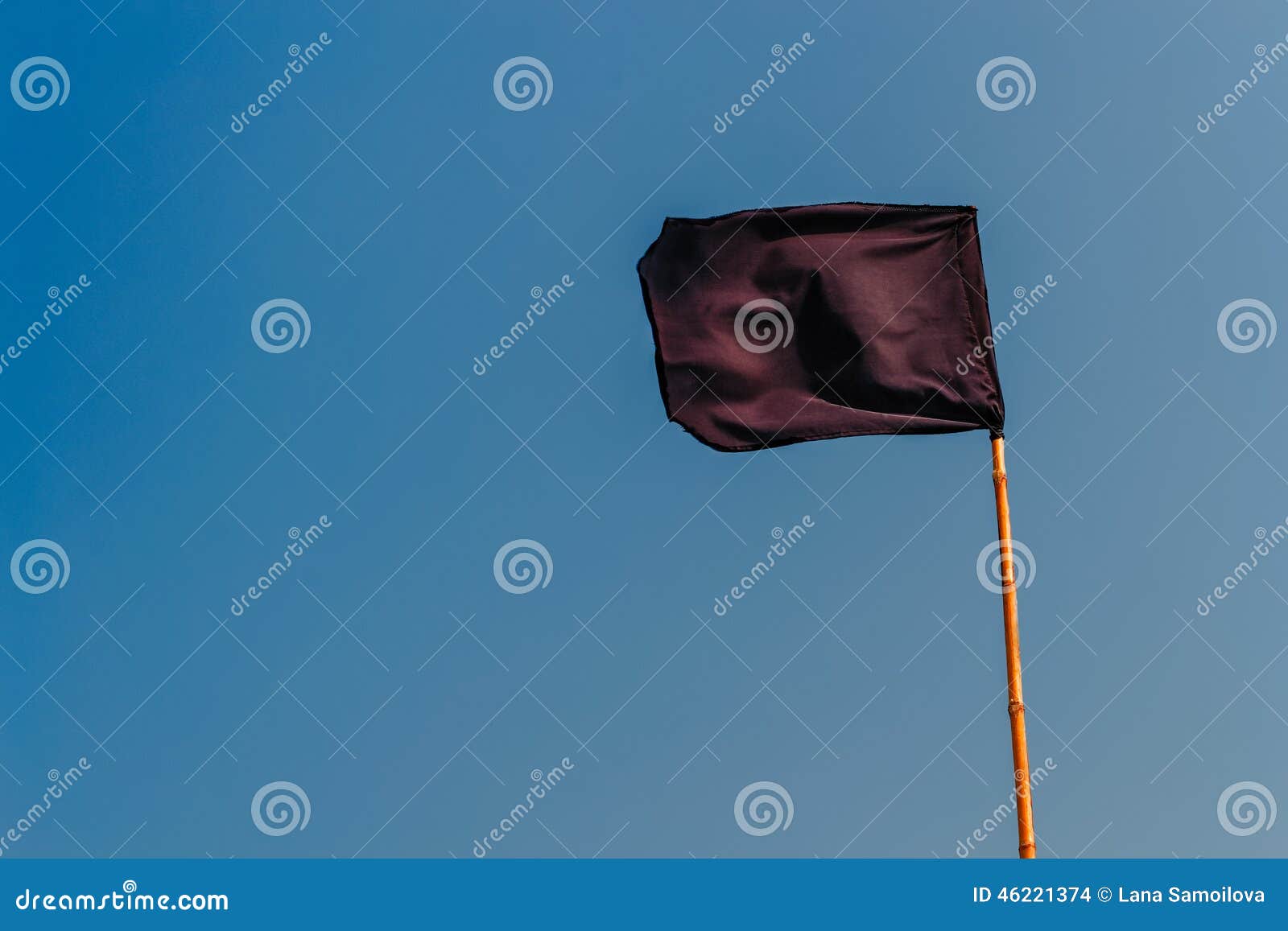 Le Drapeau noir [The Black Flag]