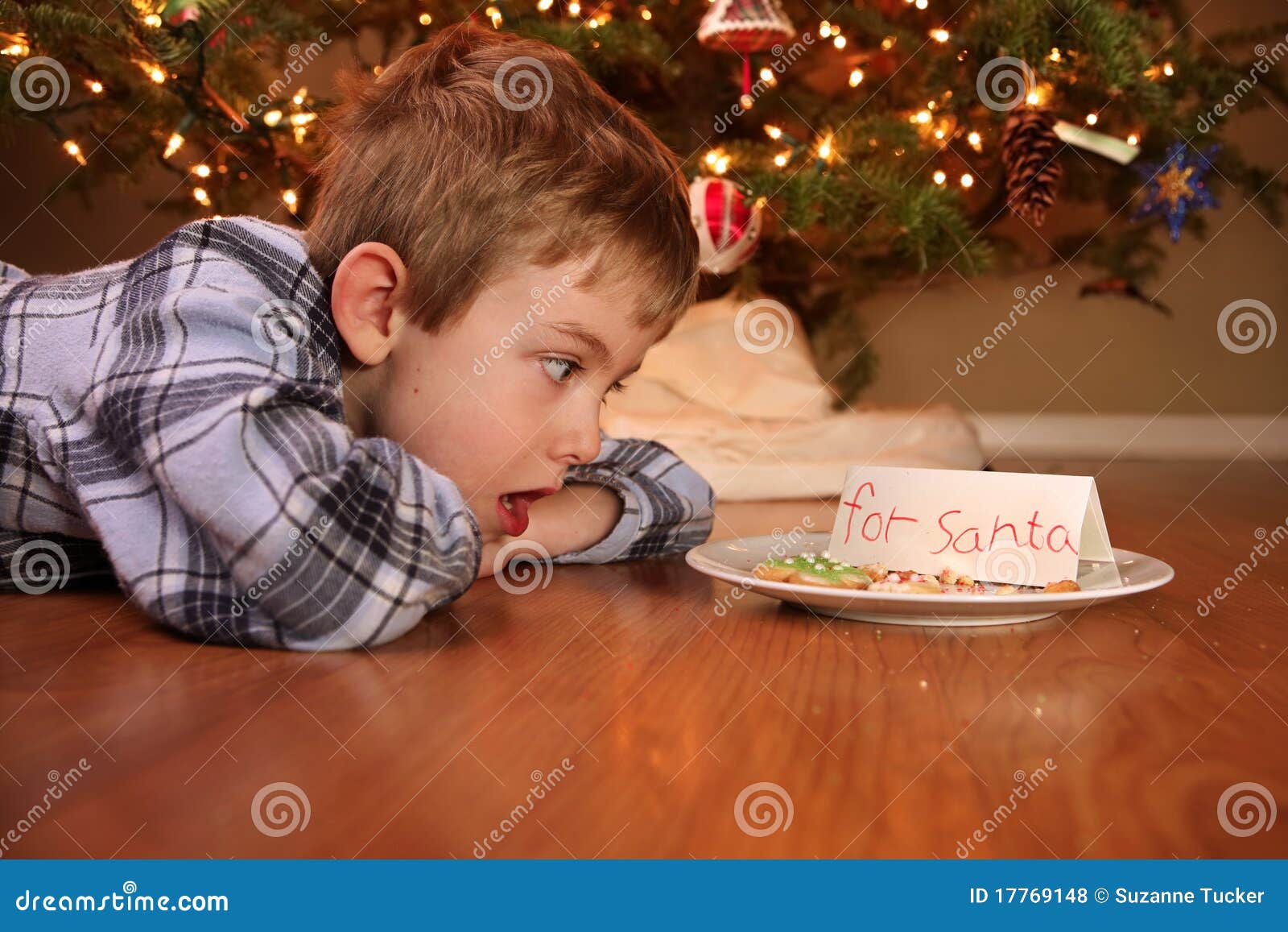 Le Garcon Se Reveille Pour Trouver Que Quelqu Un A Mange Les Biscuits Photo Stock Image Du Nicholas Jeunesse Le Garcon Se Reveille Pour Trouver Que Quelqu Un A Mange Les Biscuits Photo Stock Image Du Nicholas Jeunesse