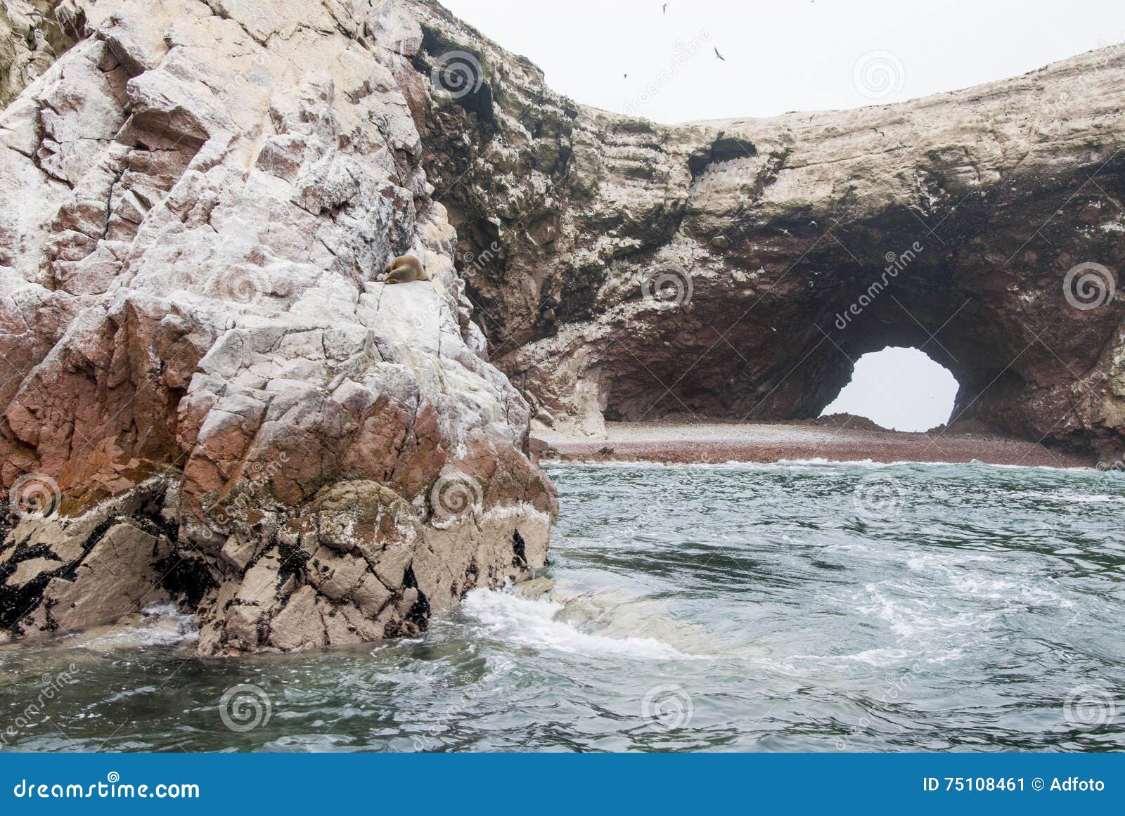 Le Isole Di Ballestas Pisco Peru Immagine Stock Immagine Di Esterno Riserva 75108461