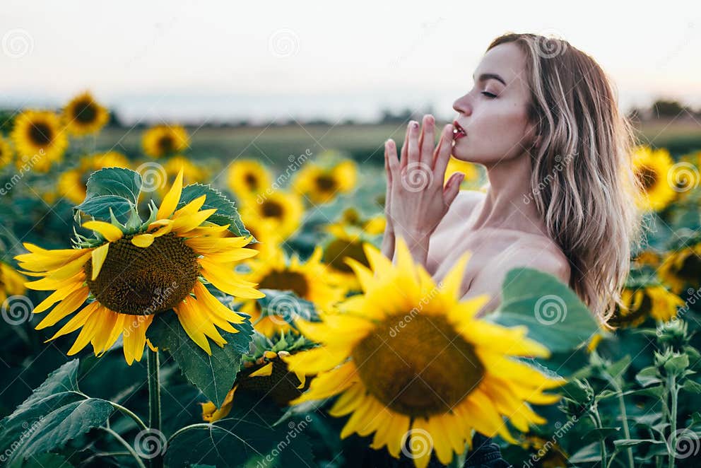 Le Jeune Torse Nu Mince De Fille Pose Au Coucher Du Soleil Dans Un Champ De Tournesols Image