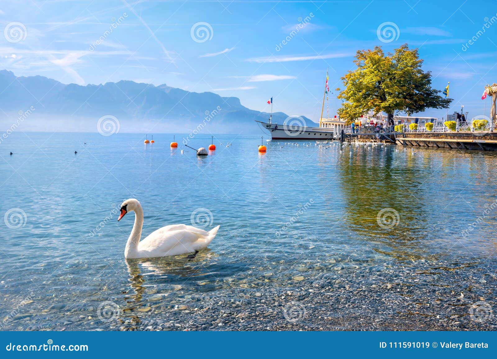 lac leman suisse