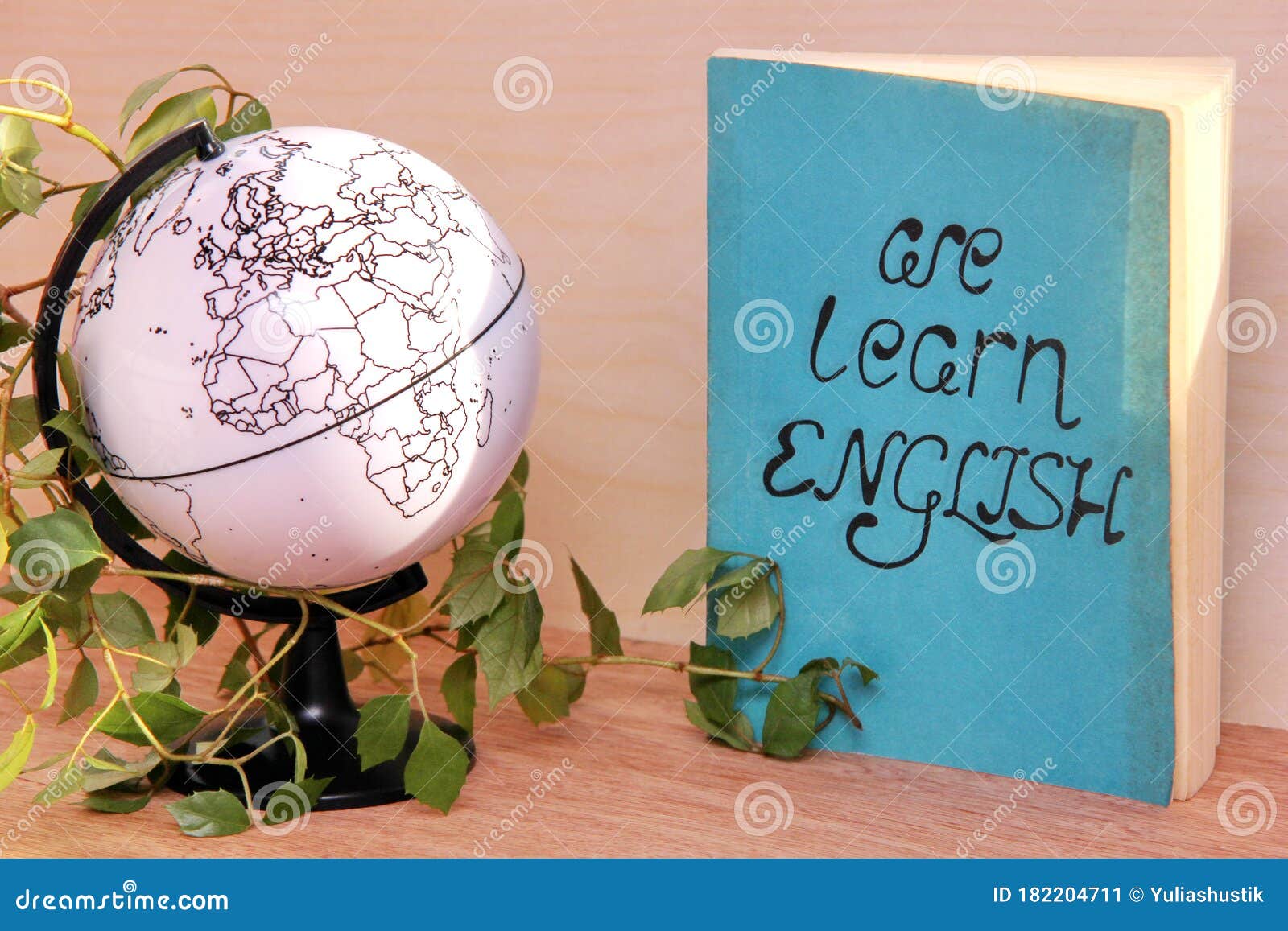 Le Livre Nous Apprend L'anglais Près D'un Globe Et Installation Mise En Pot  Image stock - Image du intérieur, coloré: 182204711