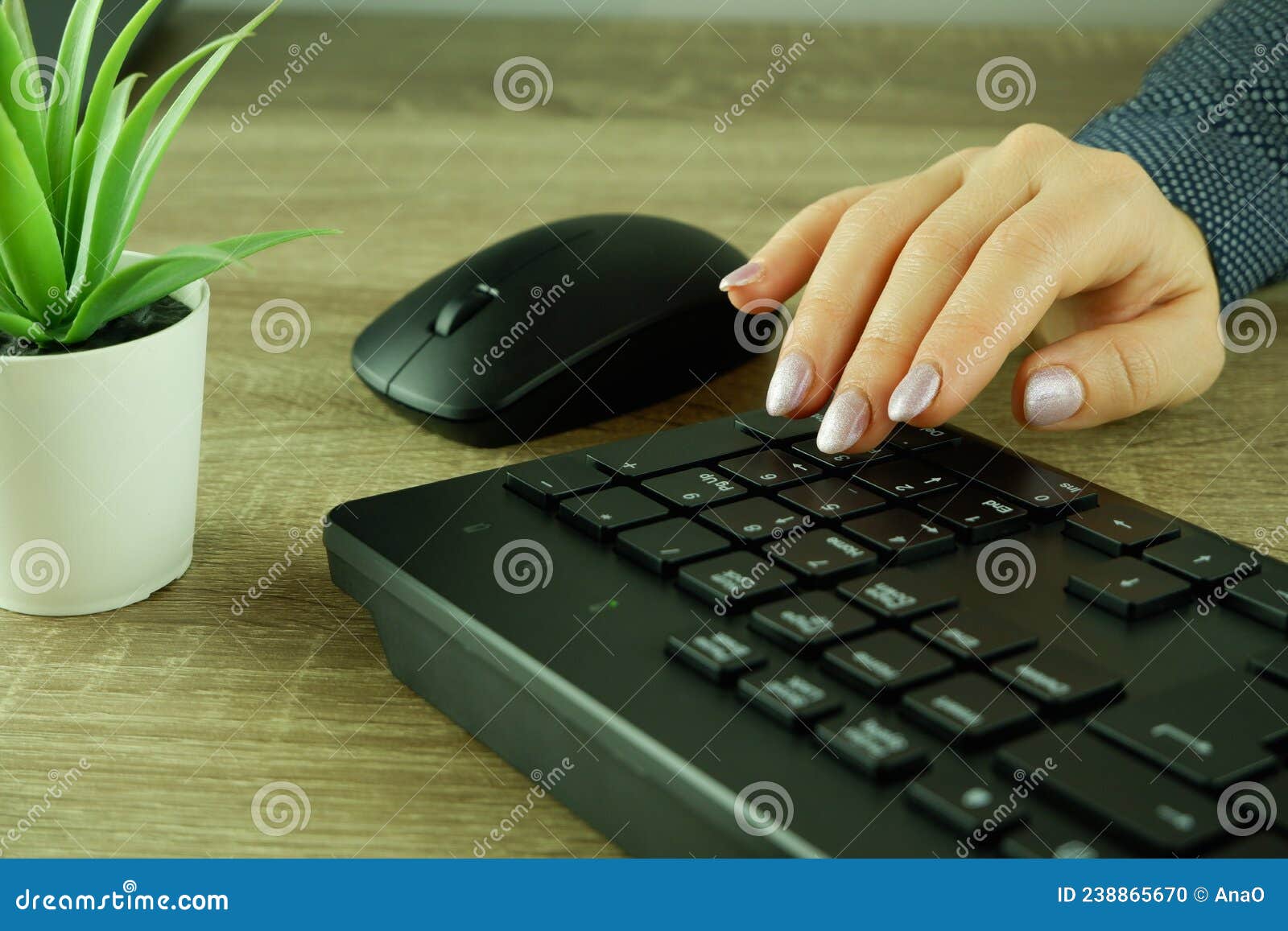 Le Mani Delle Donne Lavorano Con Un Mouse E Un Manipolatore Di