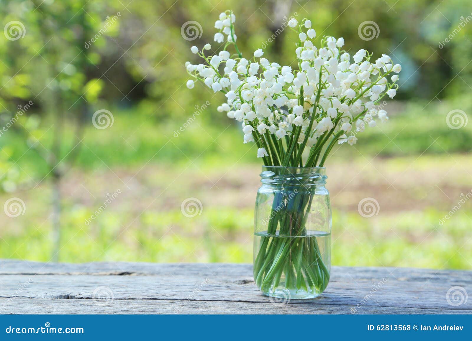 Le muguet photo stock. Image du groupe, beau, botanique - 62813568